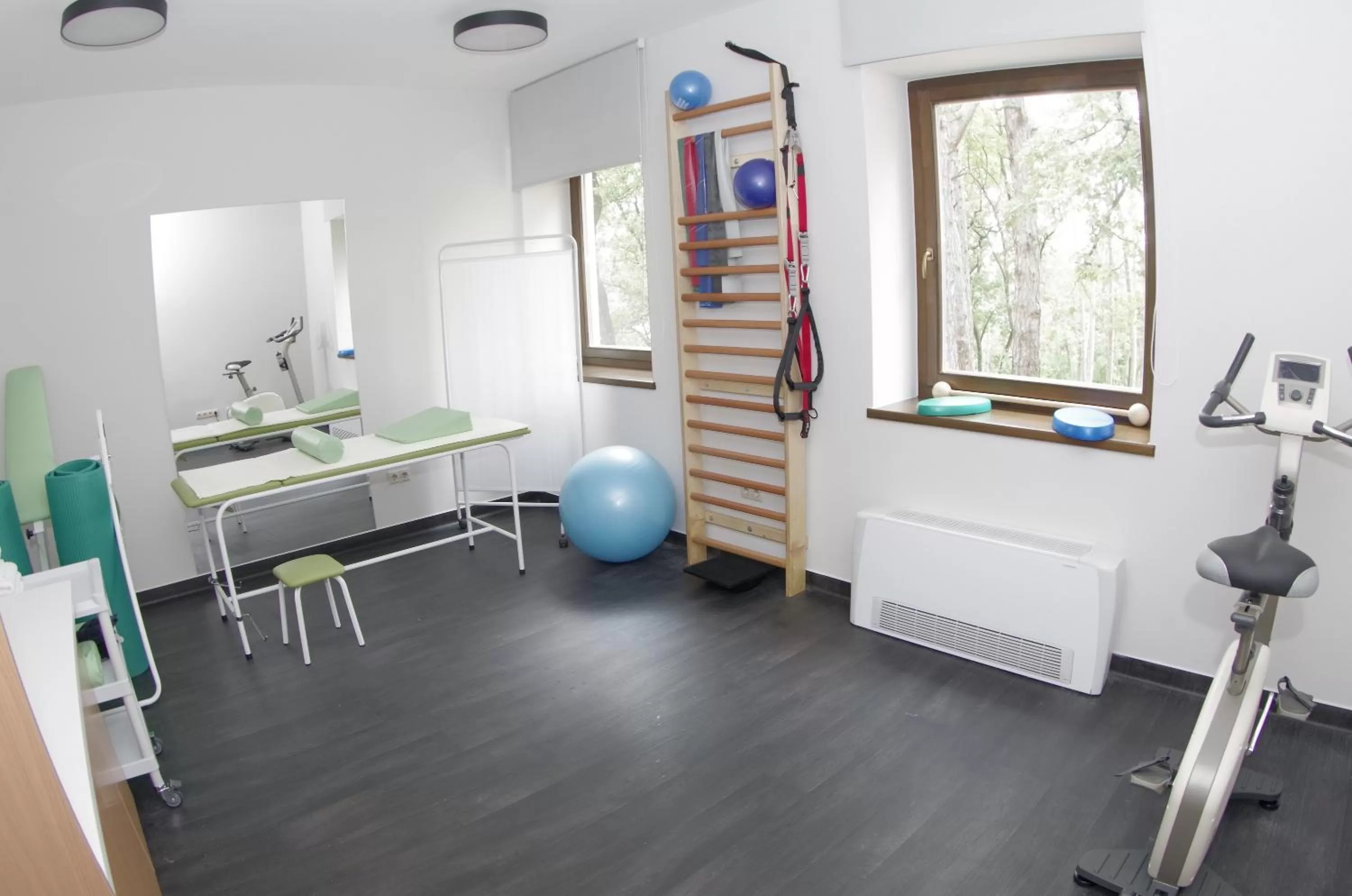 Fitness centre/facilities in Hotel Therapia