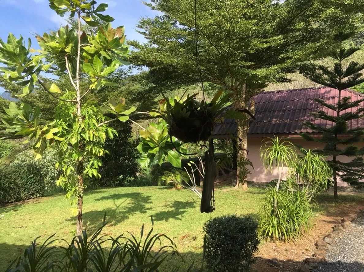 Activities in Khao Sok Hill Top Resort