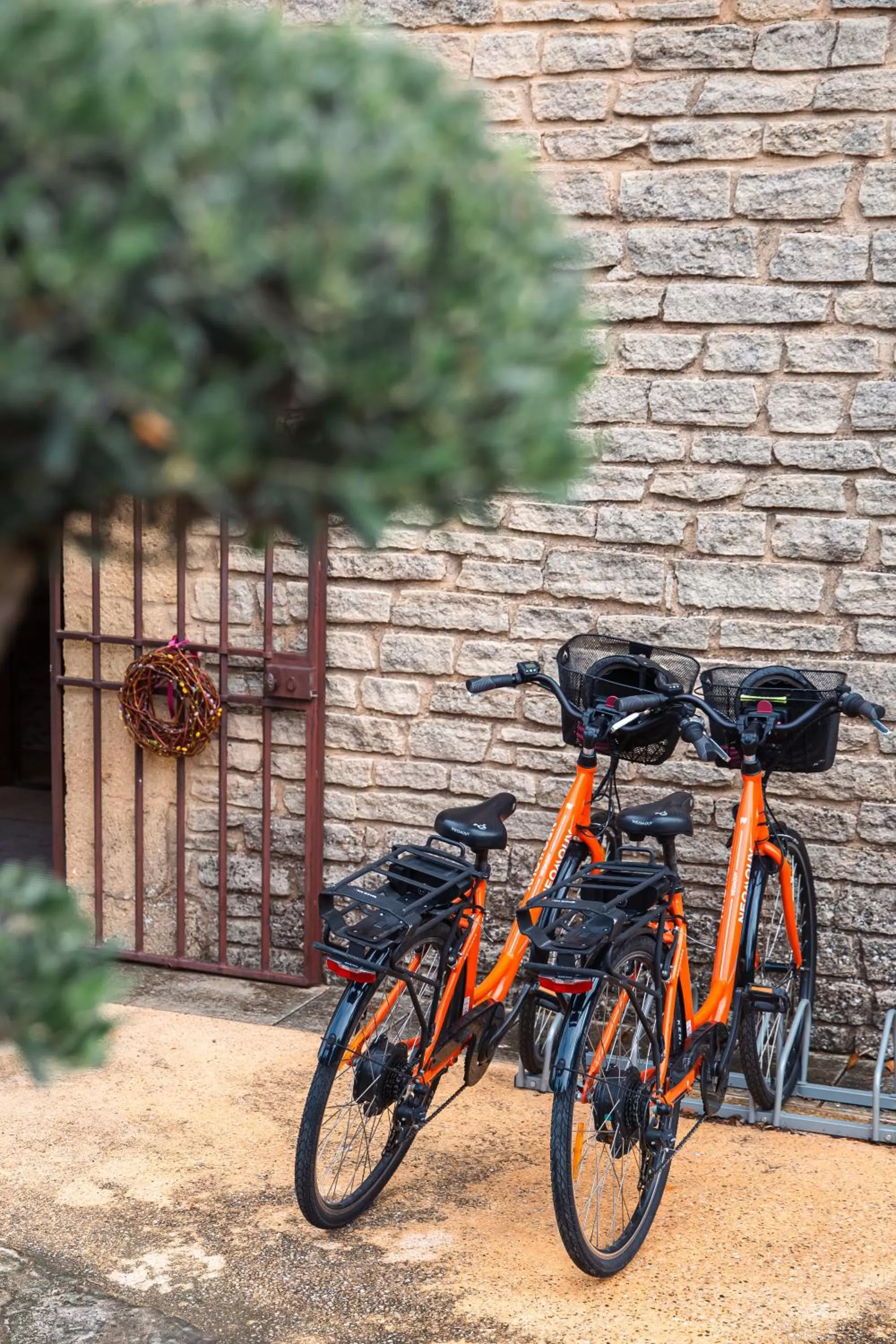 Day, Biking in Le Petit Palais D'Aglae