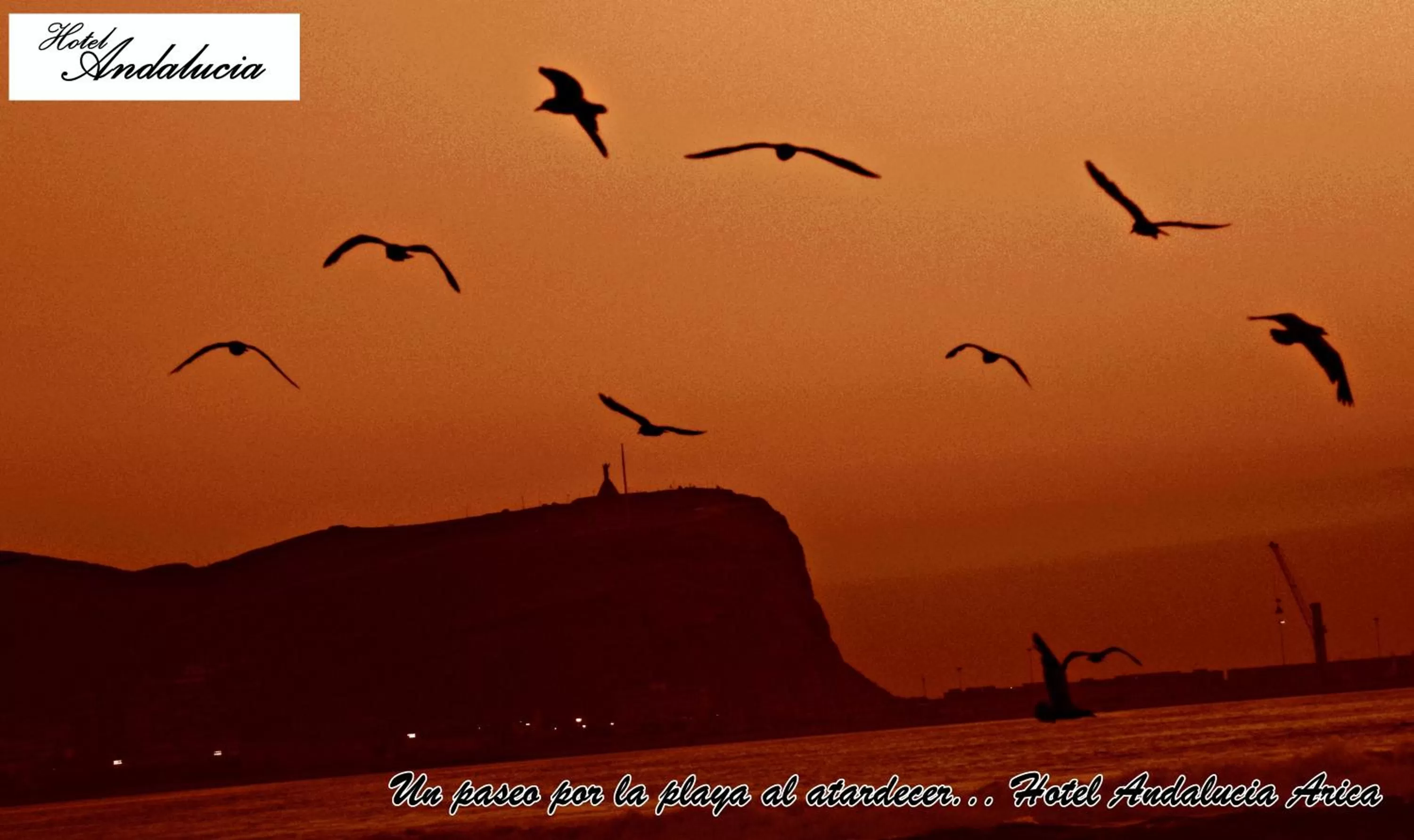 Activities in Hotel Andalucía