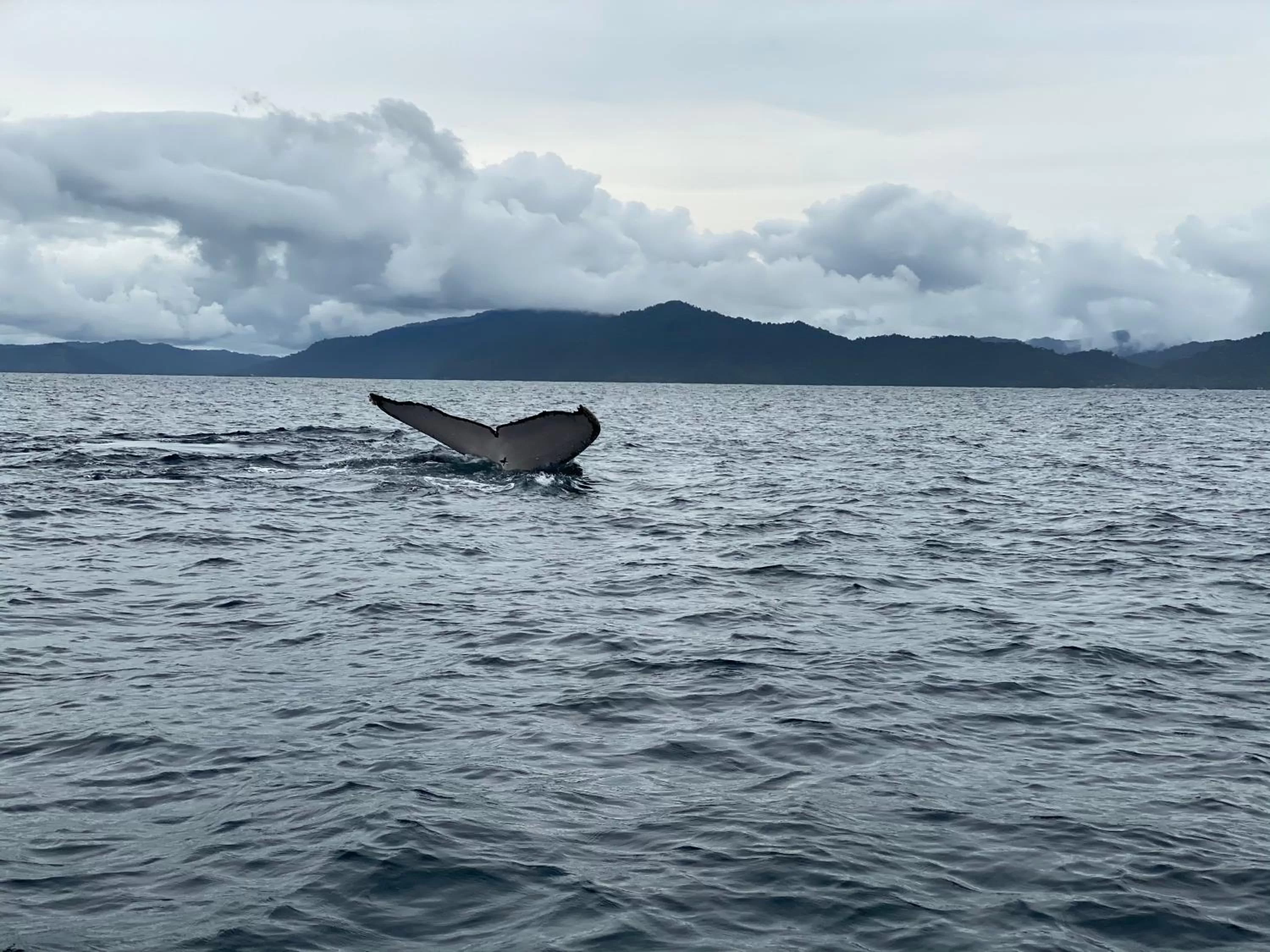 Natural landscape in Posada Turística Rocas De Cabo Marzo