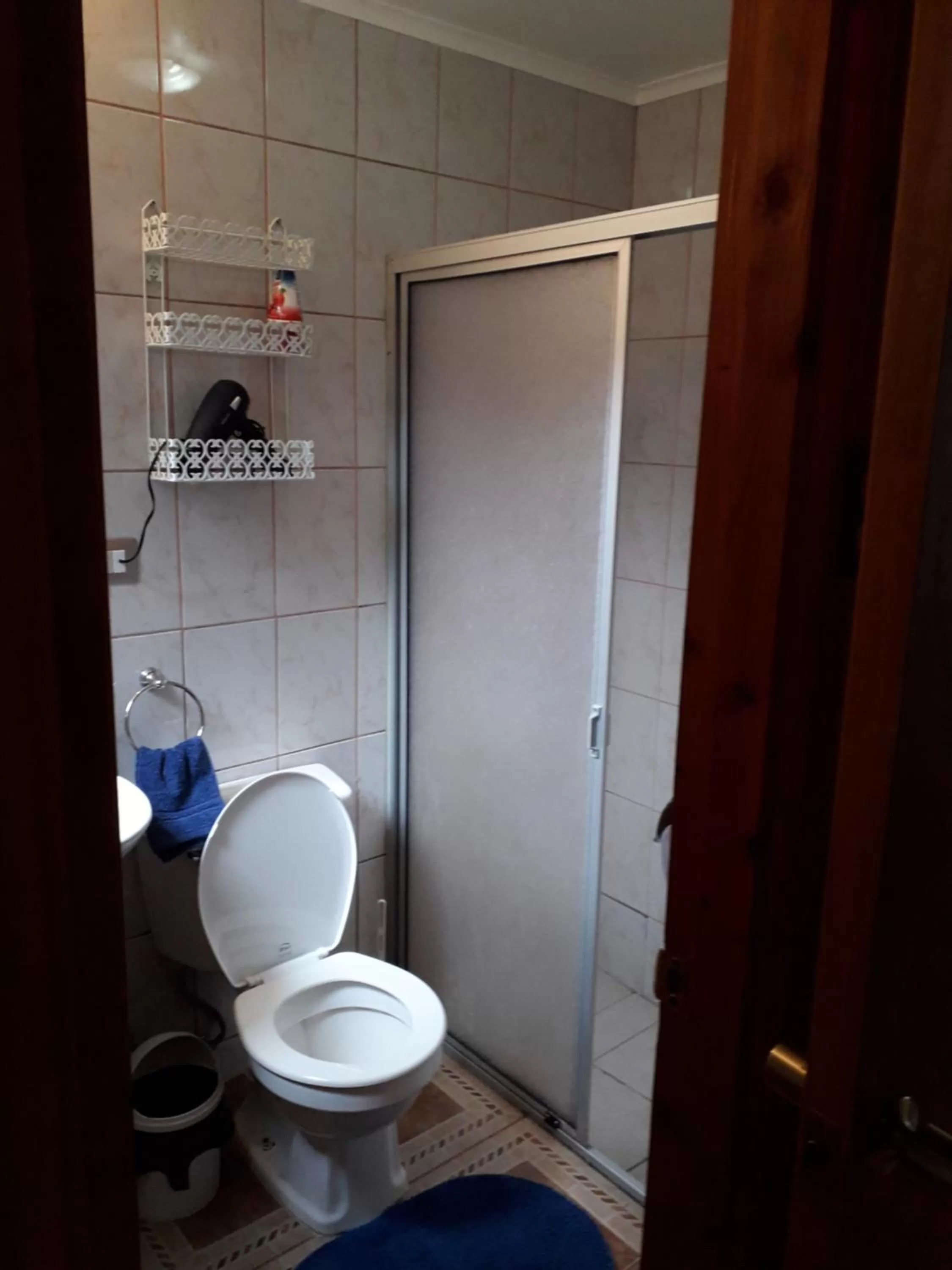 Bathroom in Apart-Hotel Colonia-Königsberg UBICADO COSTADO TERMINAL BUSES, RÍO CALLE CALLE CARABINEROS DEPARTAMENTOS COMPLETOS CON AIRE ACONDICIONADO Y ESTACIONAMIENTO