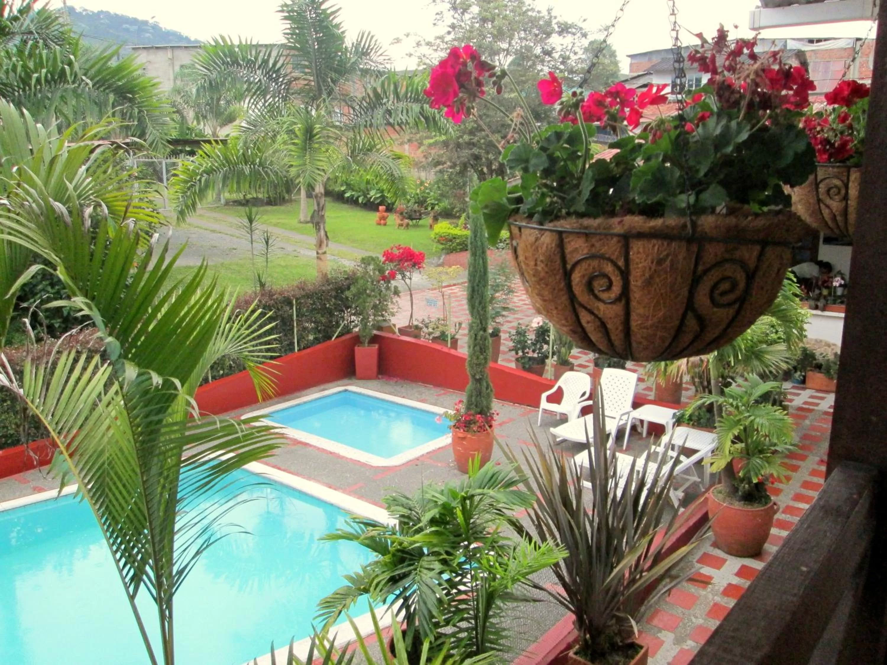 Swimming pool in Cabañas Las Bifloras