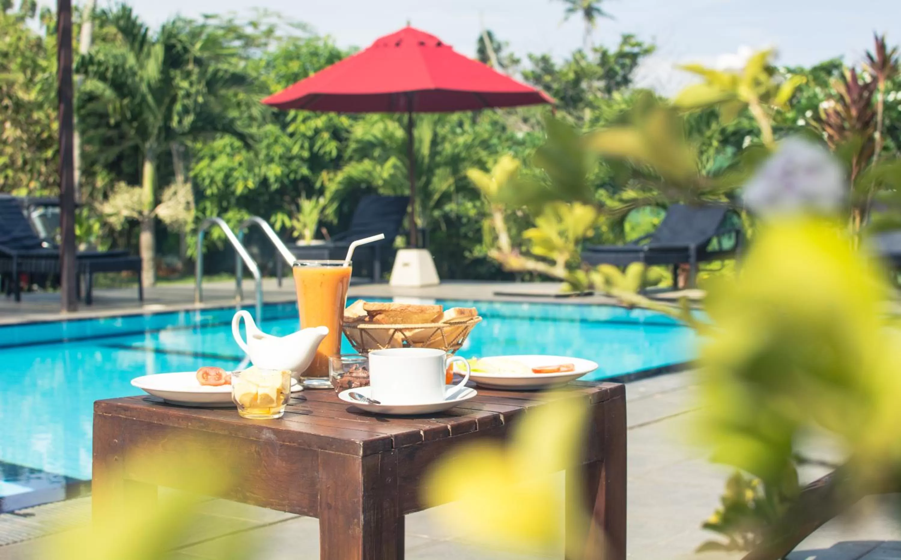 Swimming pool in Weligama Ocean Breeze