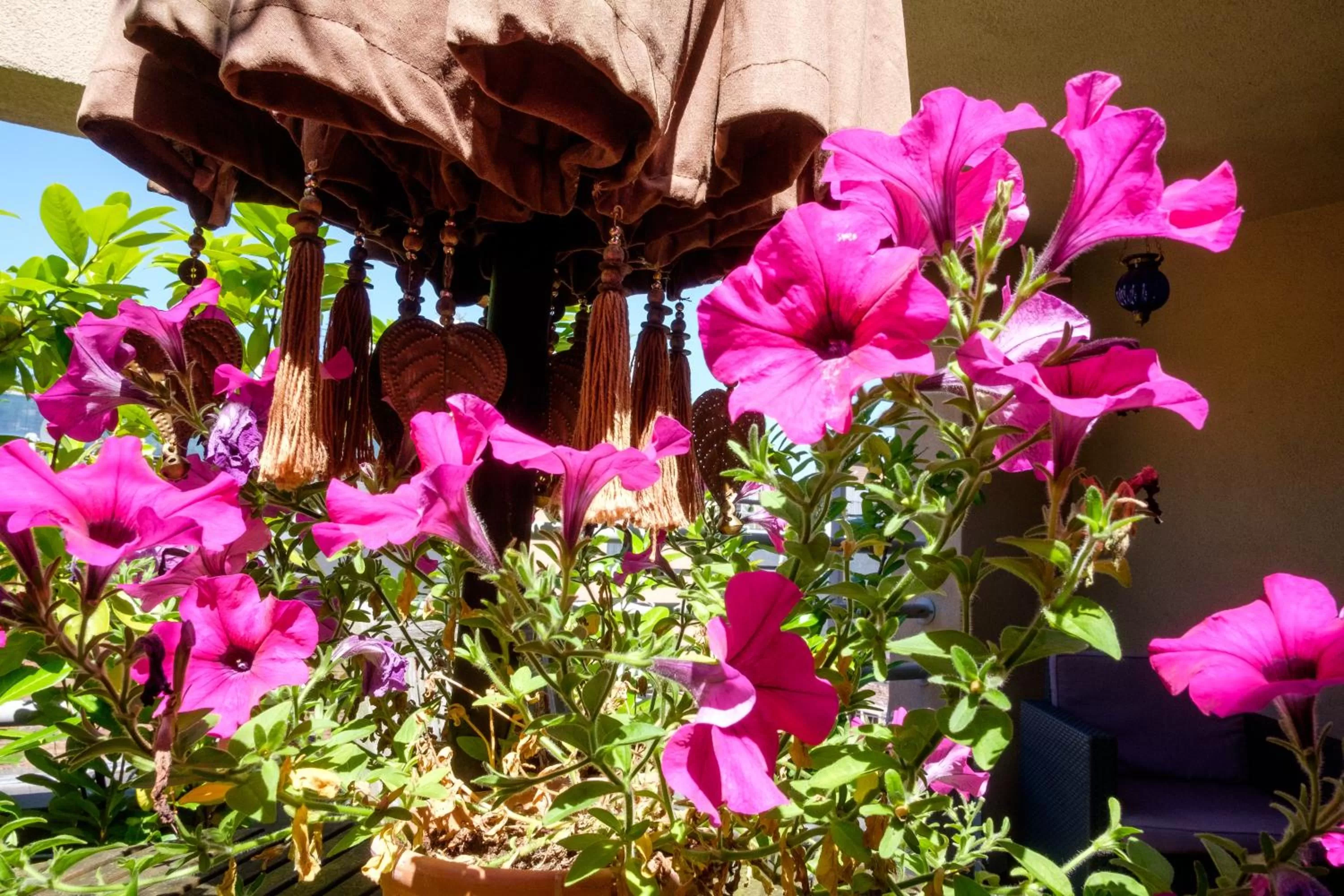 Spring in Hotel Diamonds and Pearls