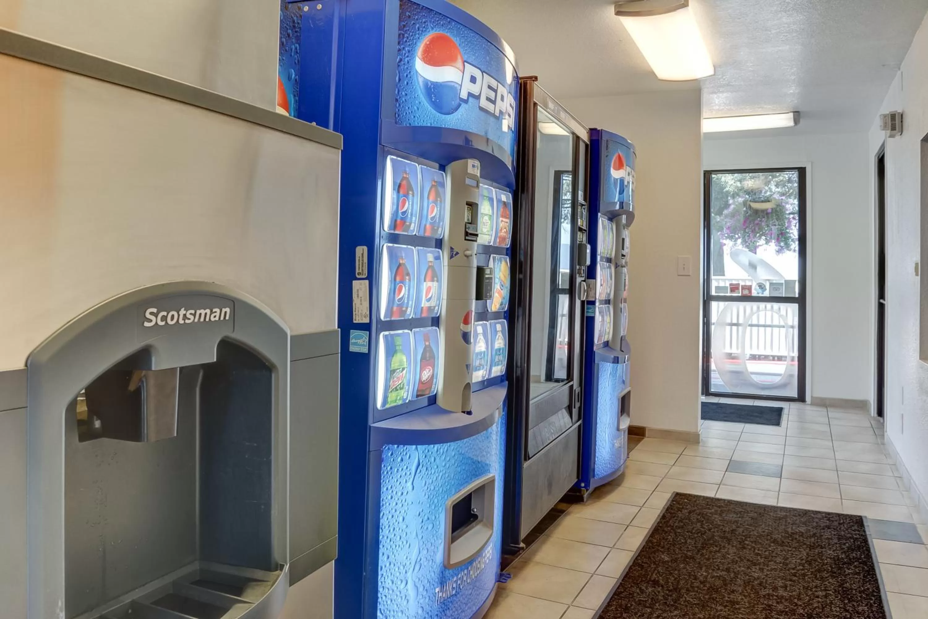 Decorative detail in Motel 6-Eugene, OR - South Springfield