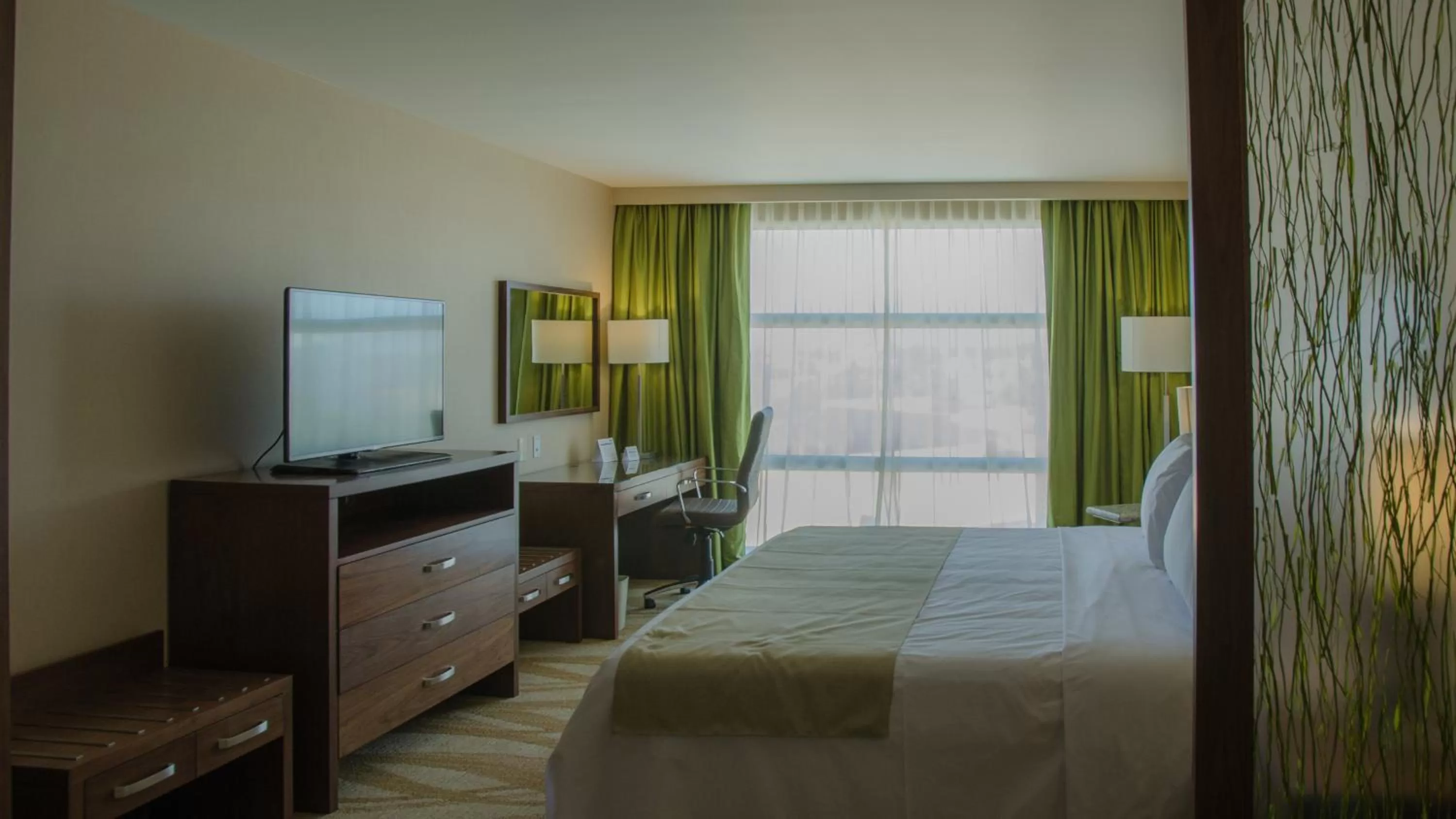TV and multimedia, Bed in Holiday Inn Express and Suites Celaya by IHG