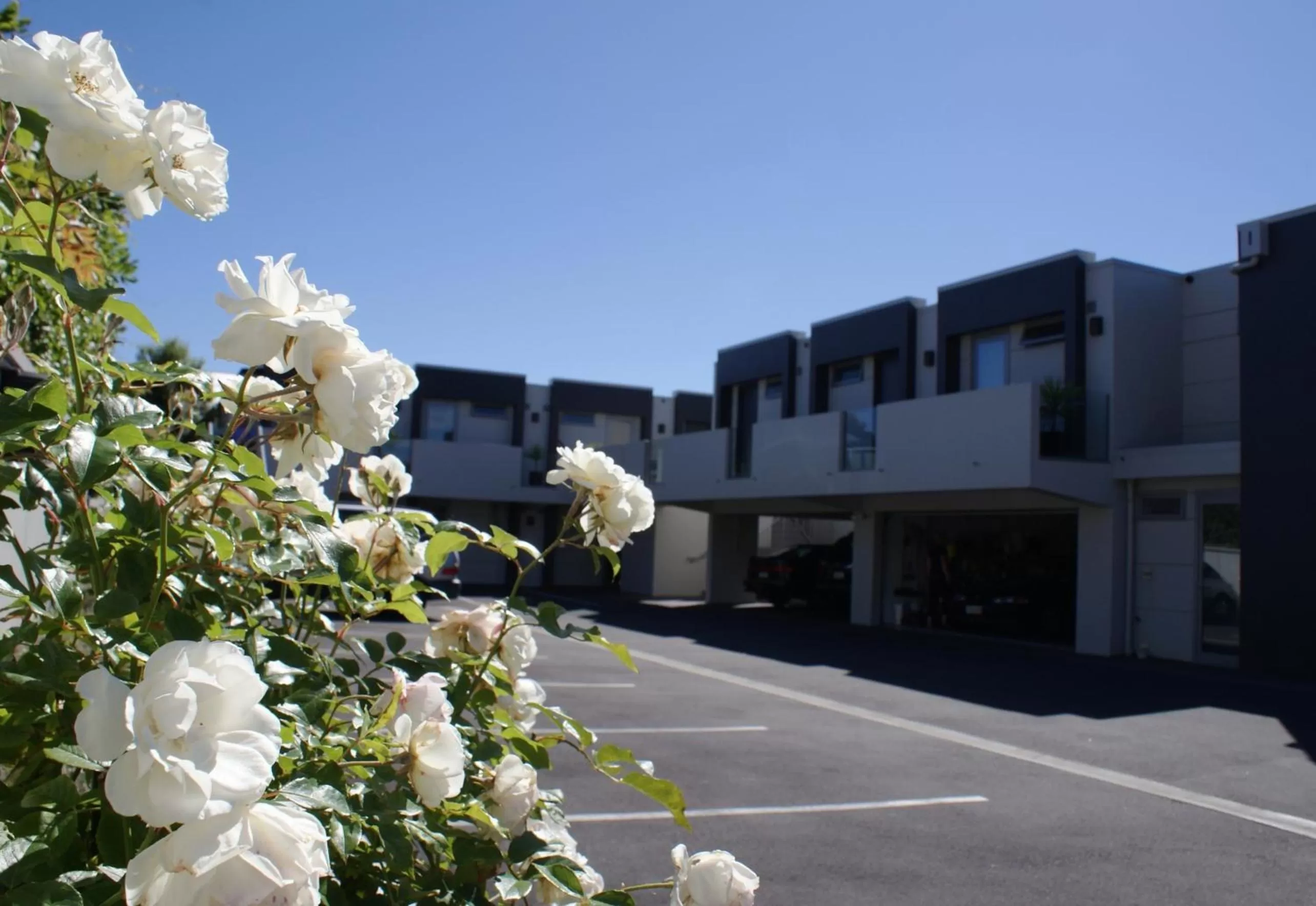 Facade/entrance in Bellano Motel Suites