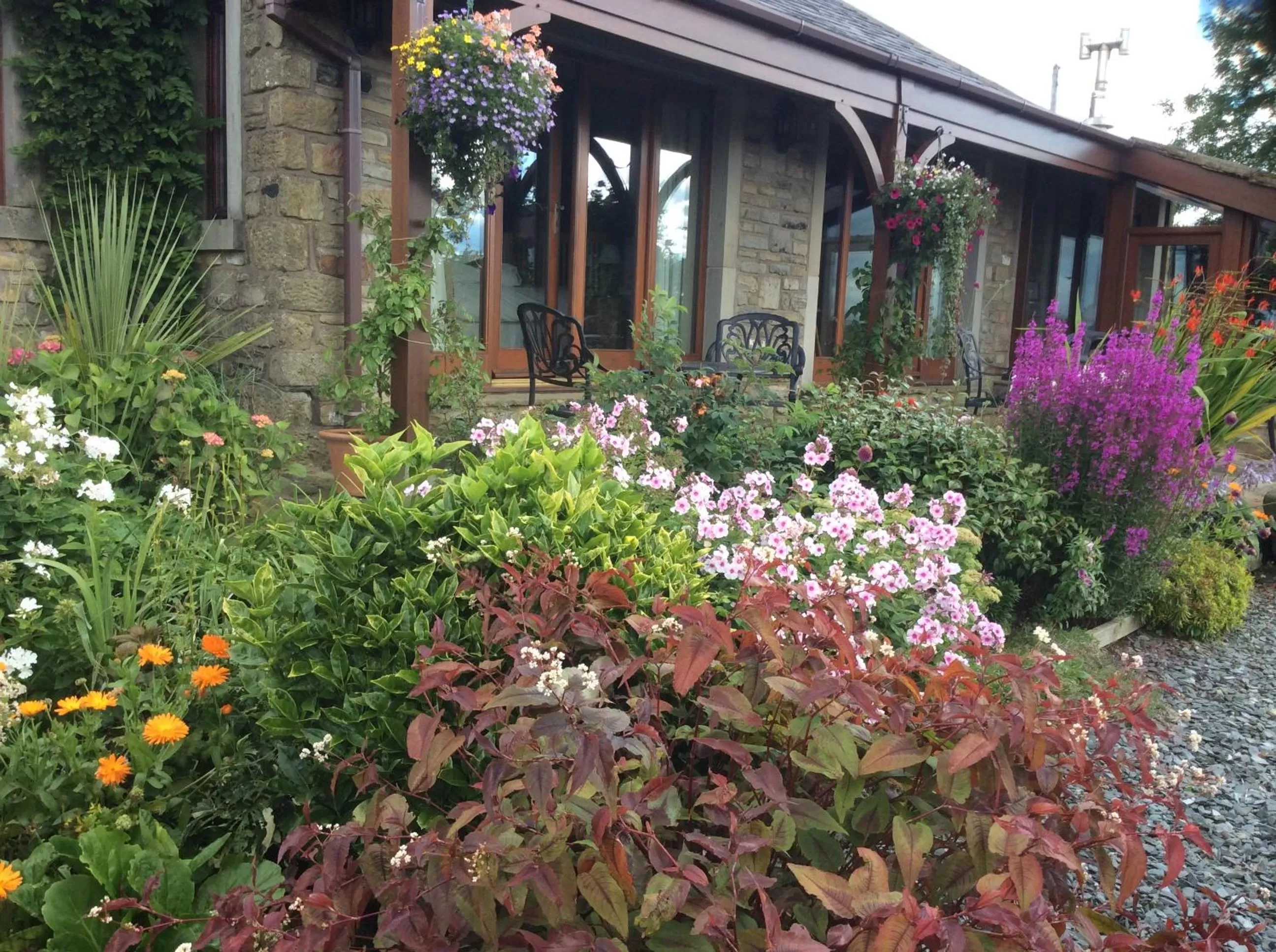Garden, Property Building in Moor View