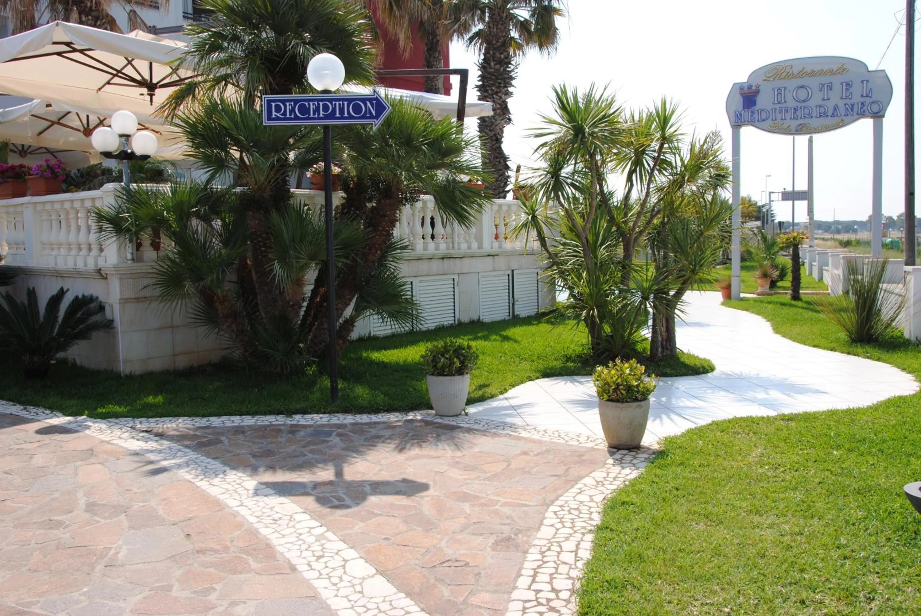 Garden in Hotel Mediterraneo