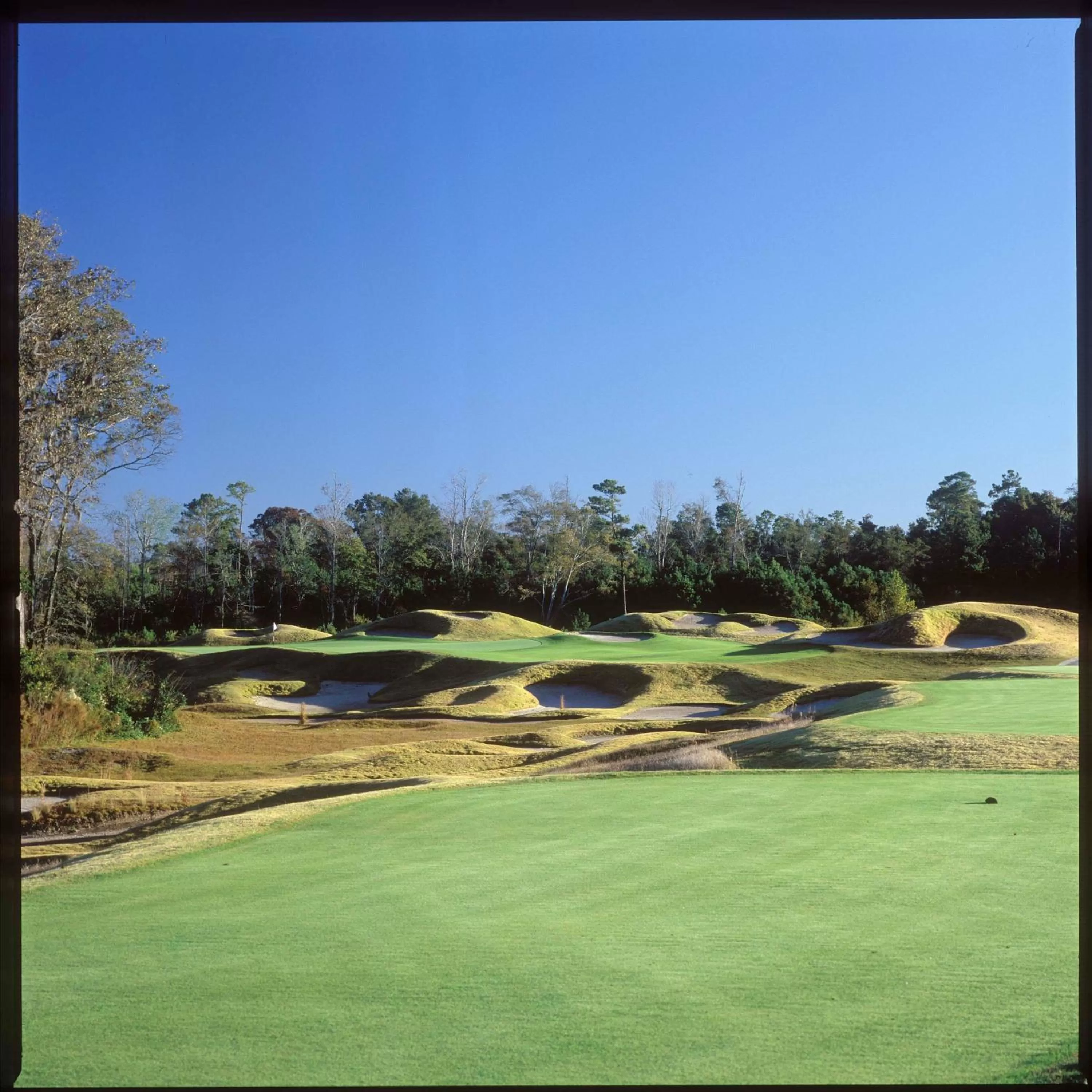 Golfcourse in Barefoot Resort Golf & Yacht Club Villas