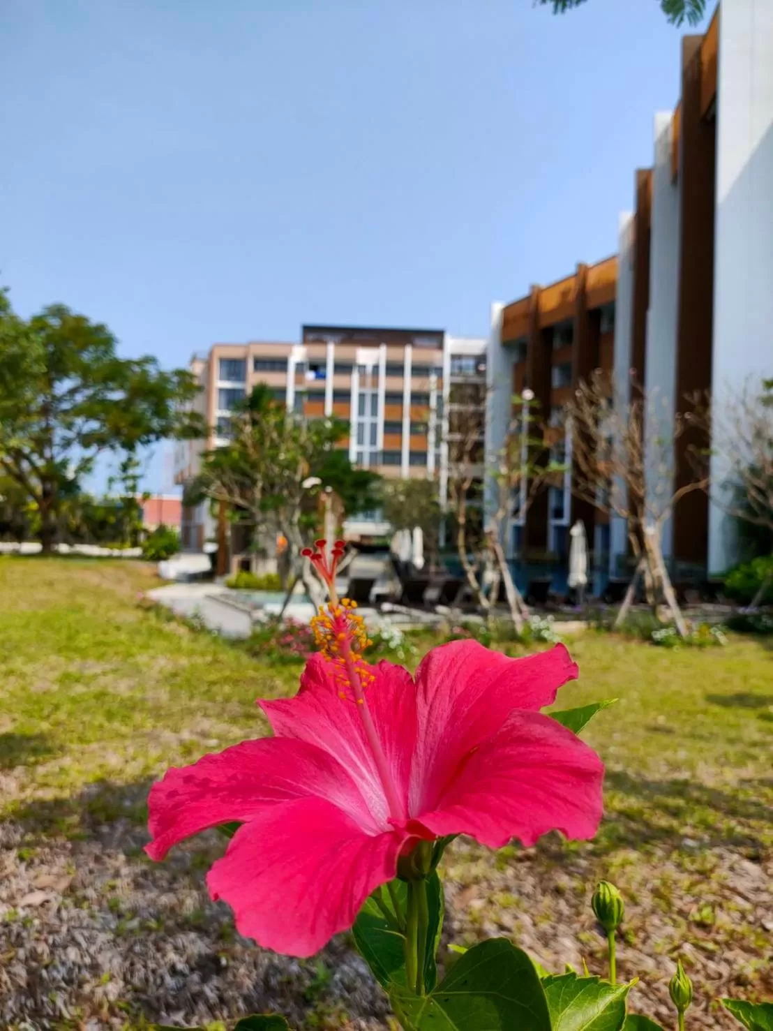 Property building in iSanook Resort & Suites Hua Hin