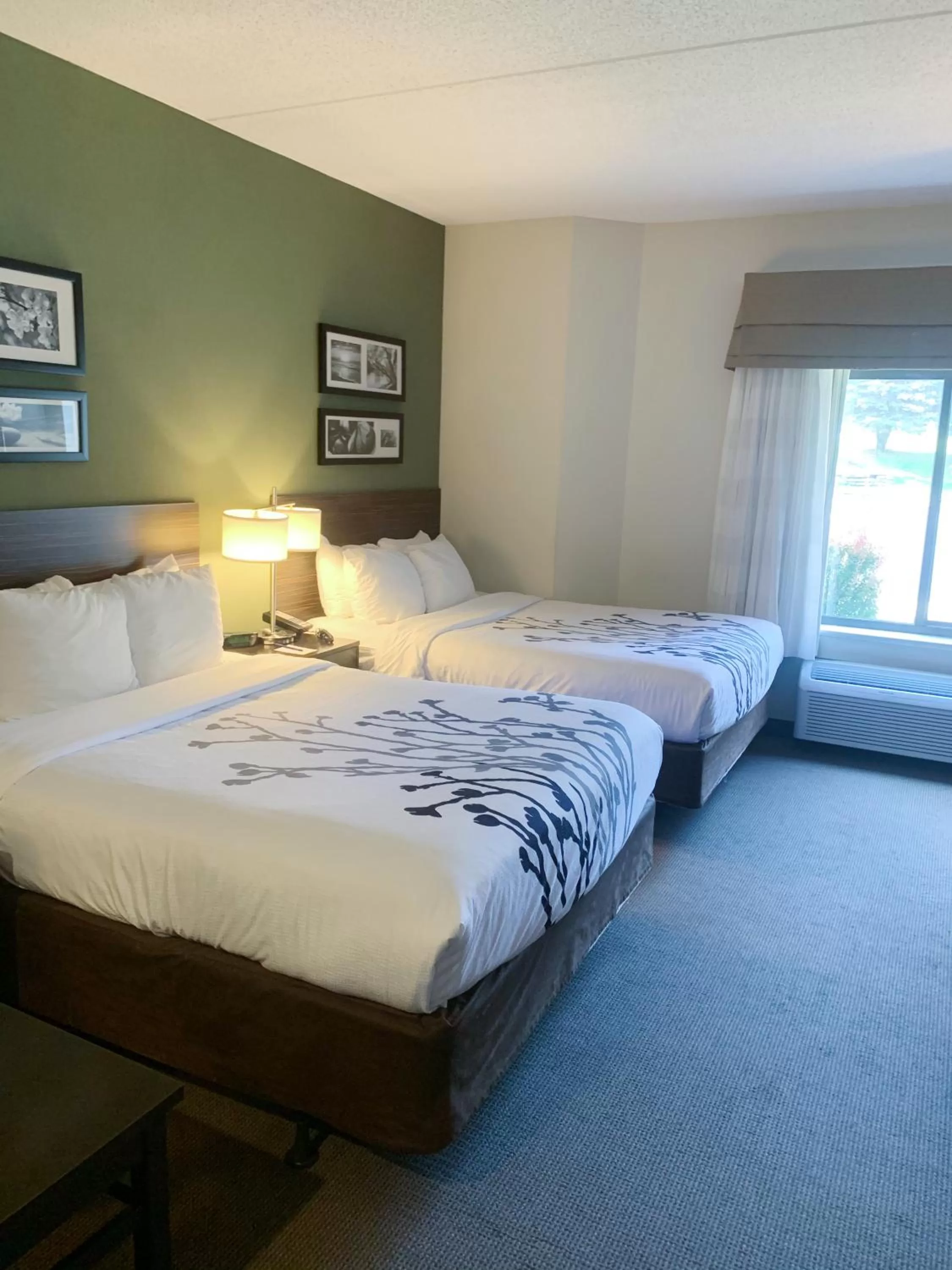 Bedroom, Bed in Sleep Inn & Suites Queensbury - Lake George