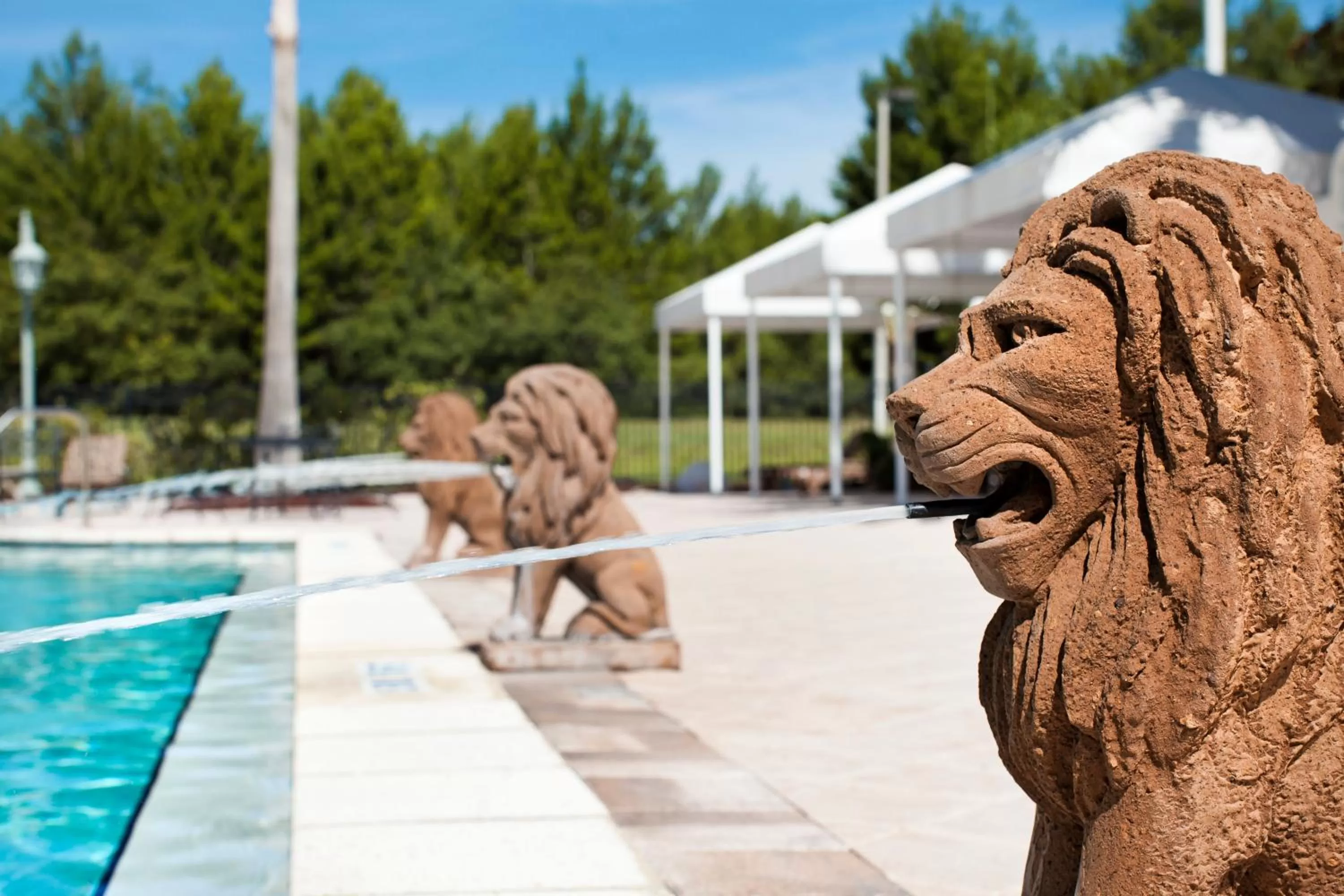Swimming pool in Monumental Hotel Orlando