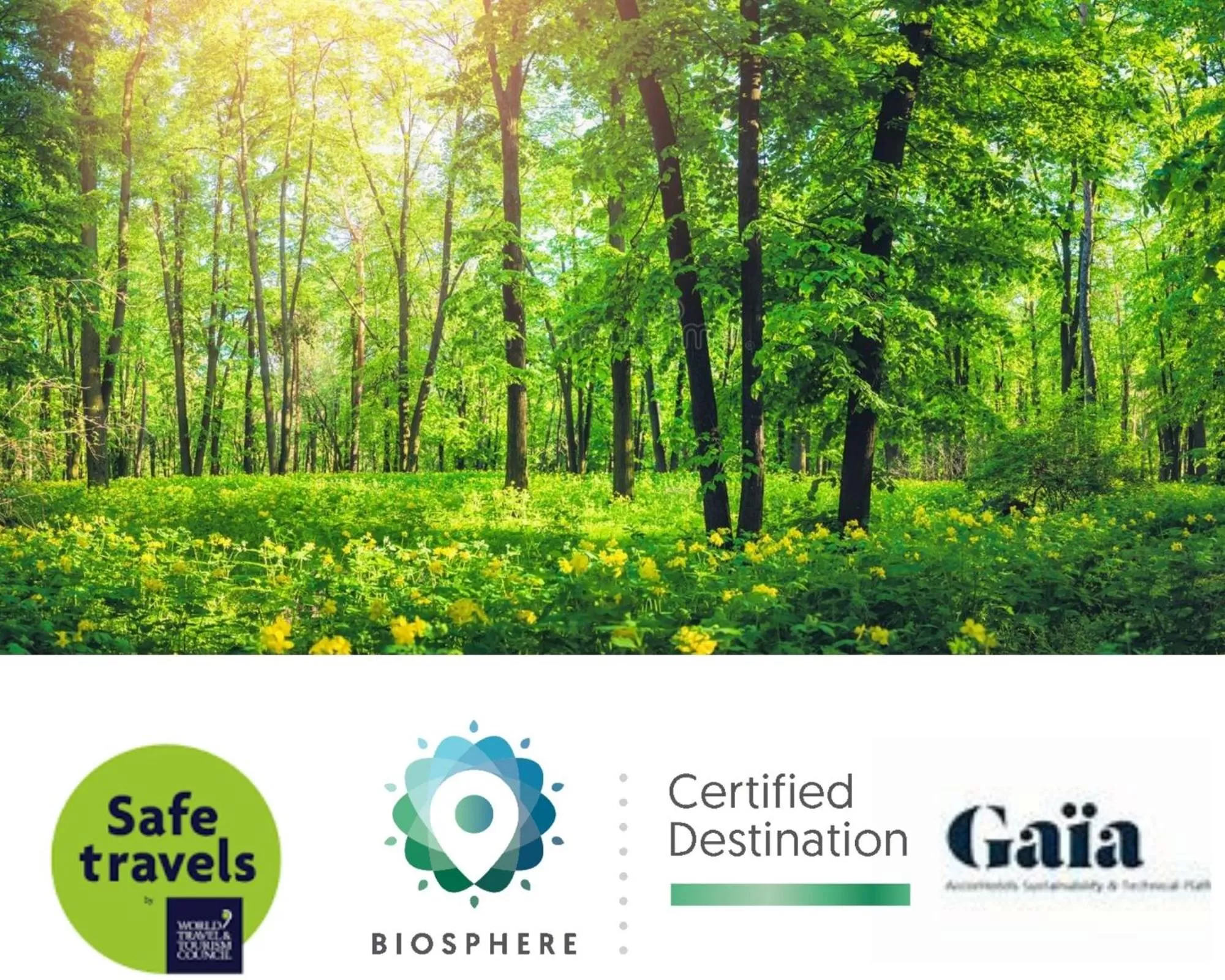 Natural landscape in Novotel Barcelona City