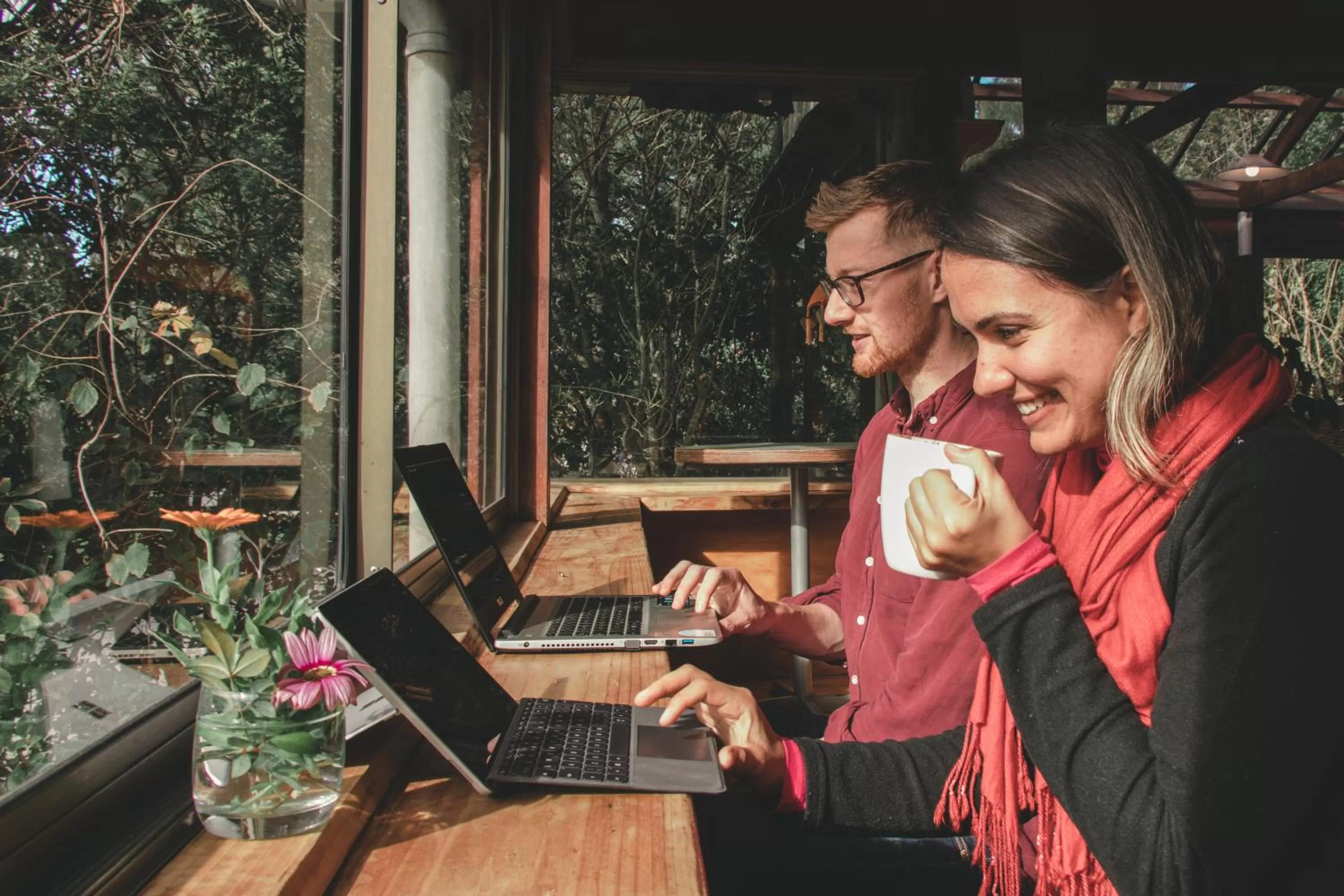 Lounge or bar in Kawai Purapura Yoga Retreat Centre