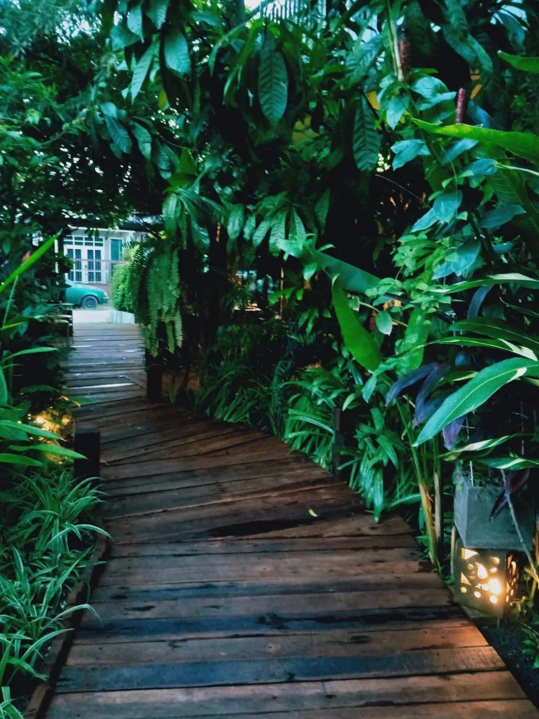 Natural landscape in The Twenty Lodge