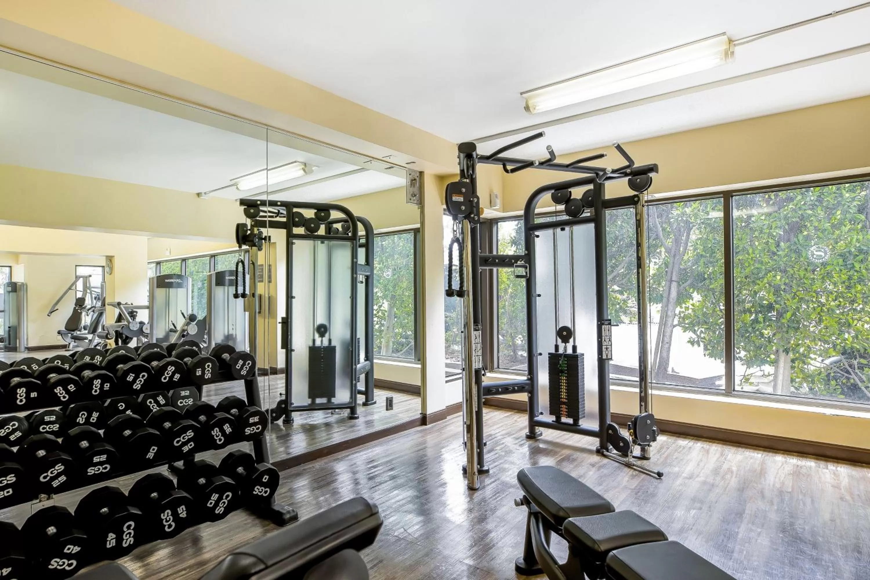Fitness centre/facilities in Sheraton Universal