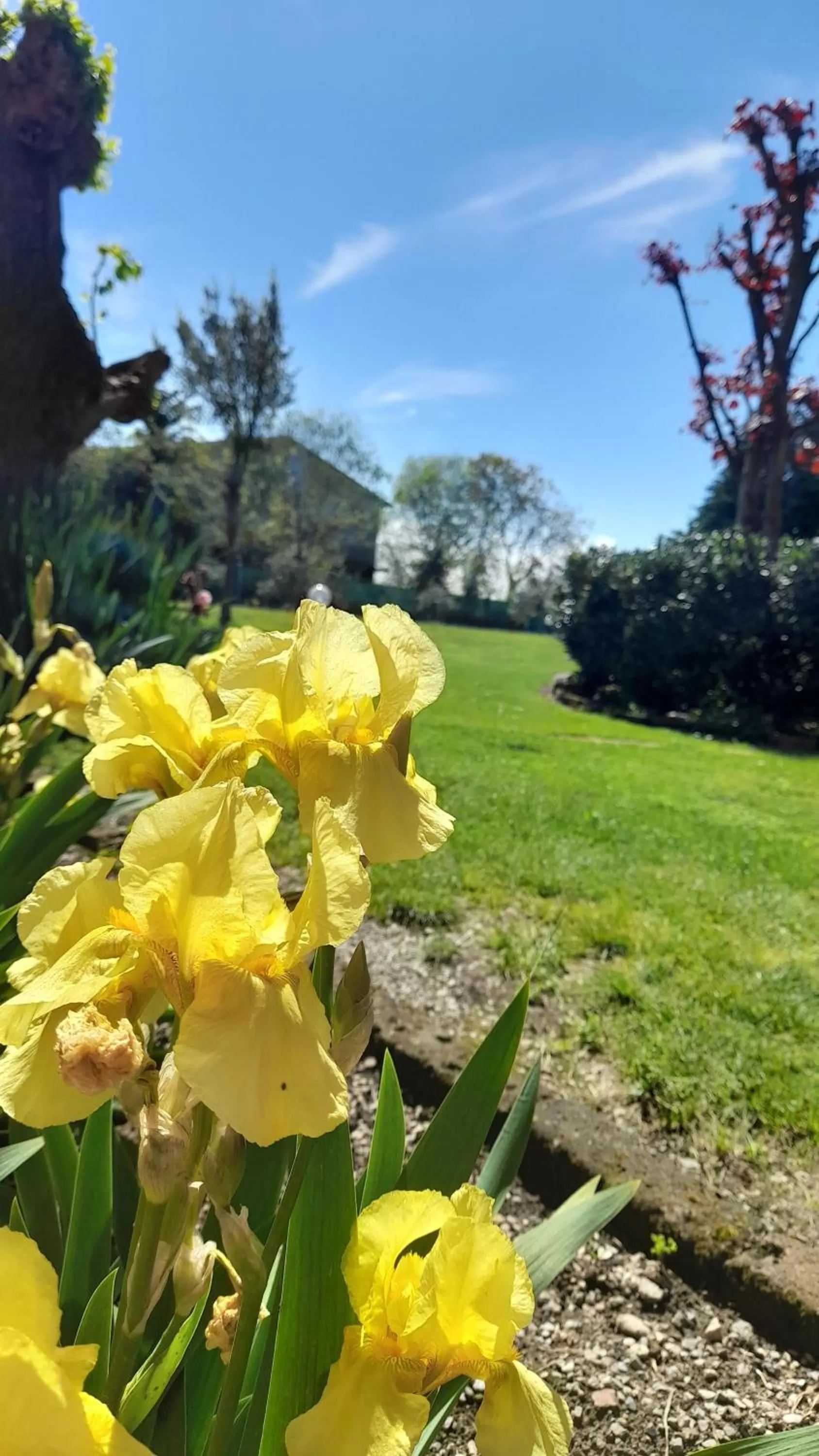 Garden in La Corte B&B