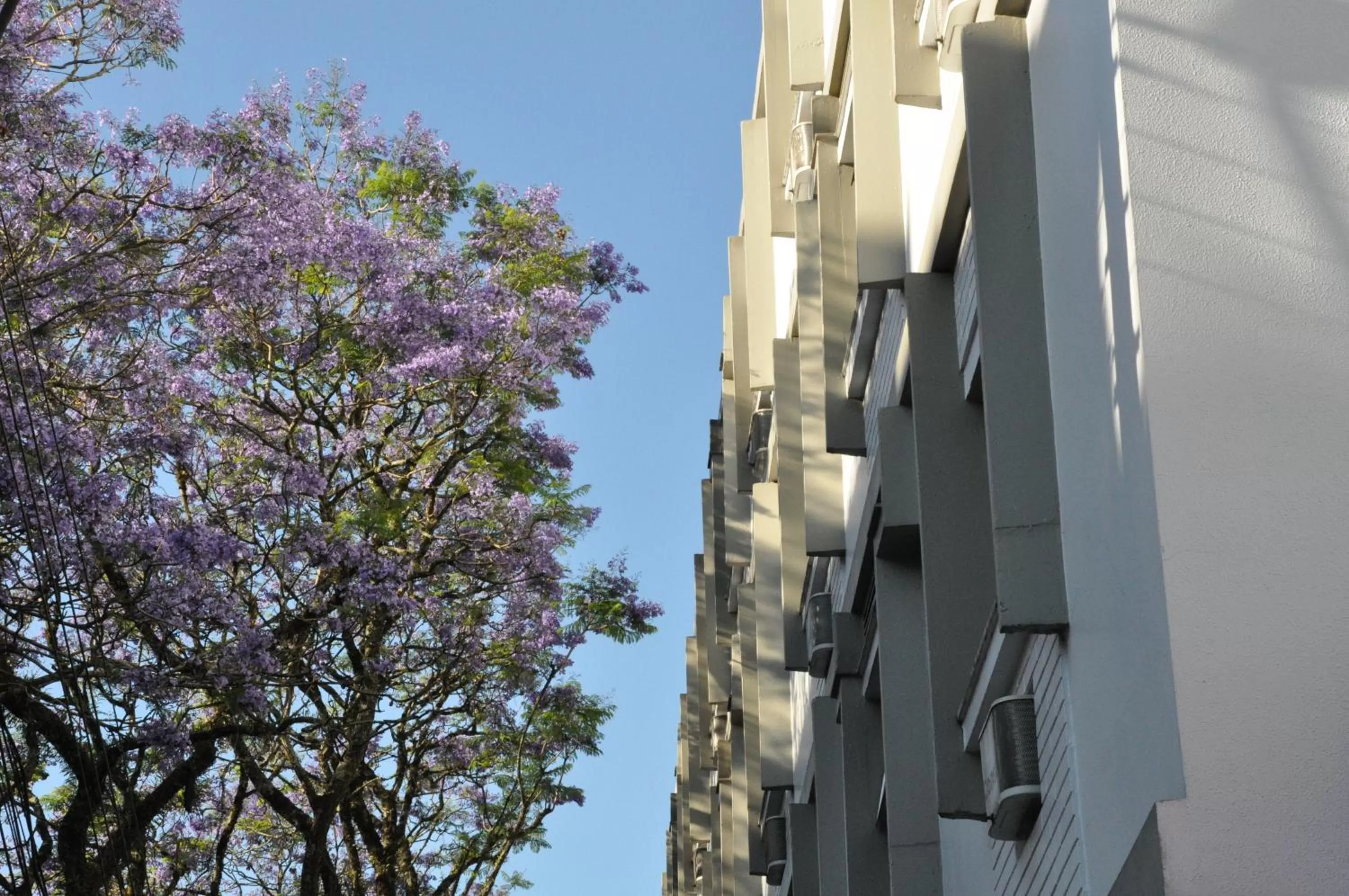 Facade/entrance in Cosmos Hotel