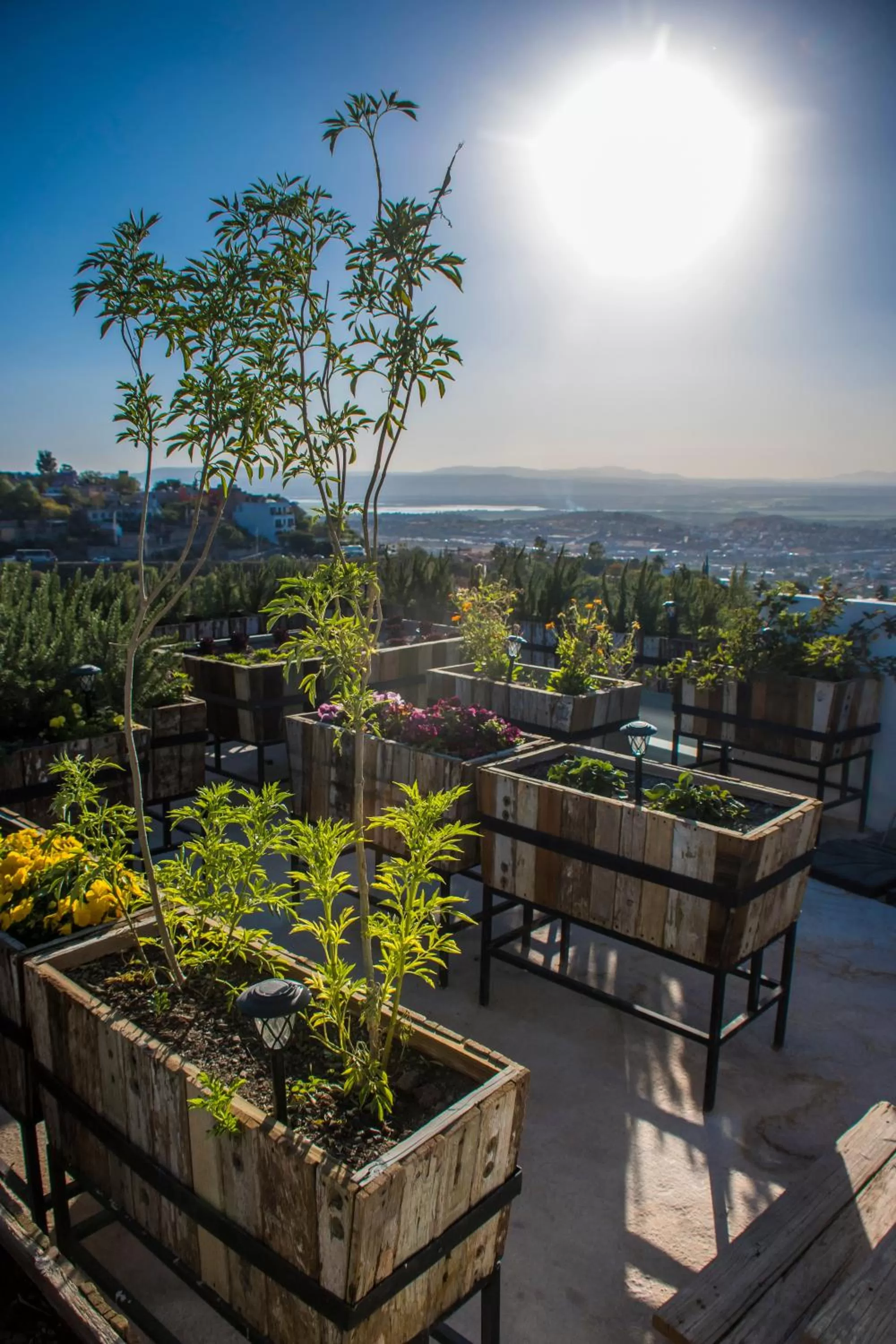 Day in Hotel Amatte San Miguel de Allende