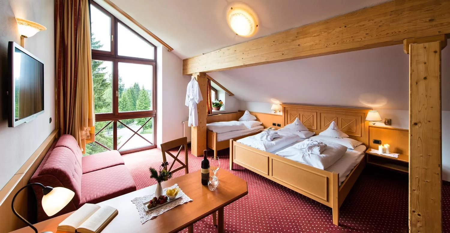 Junior Suite in Hotel Alpenrose
