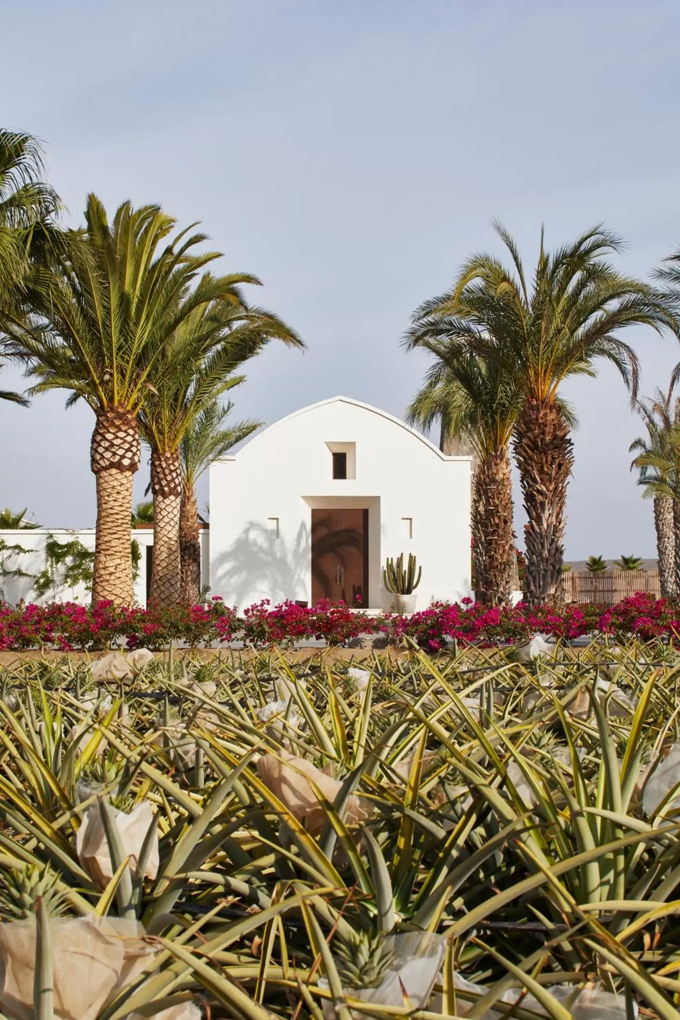 Property building in Hotel San Cristobal Adults 15+