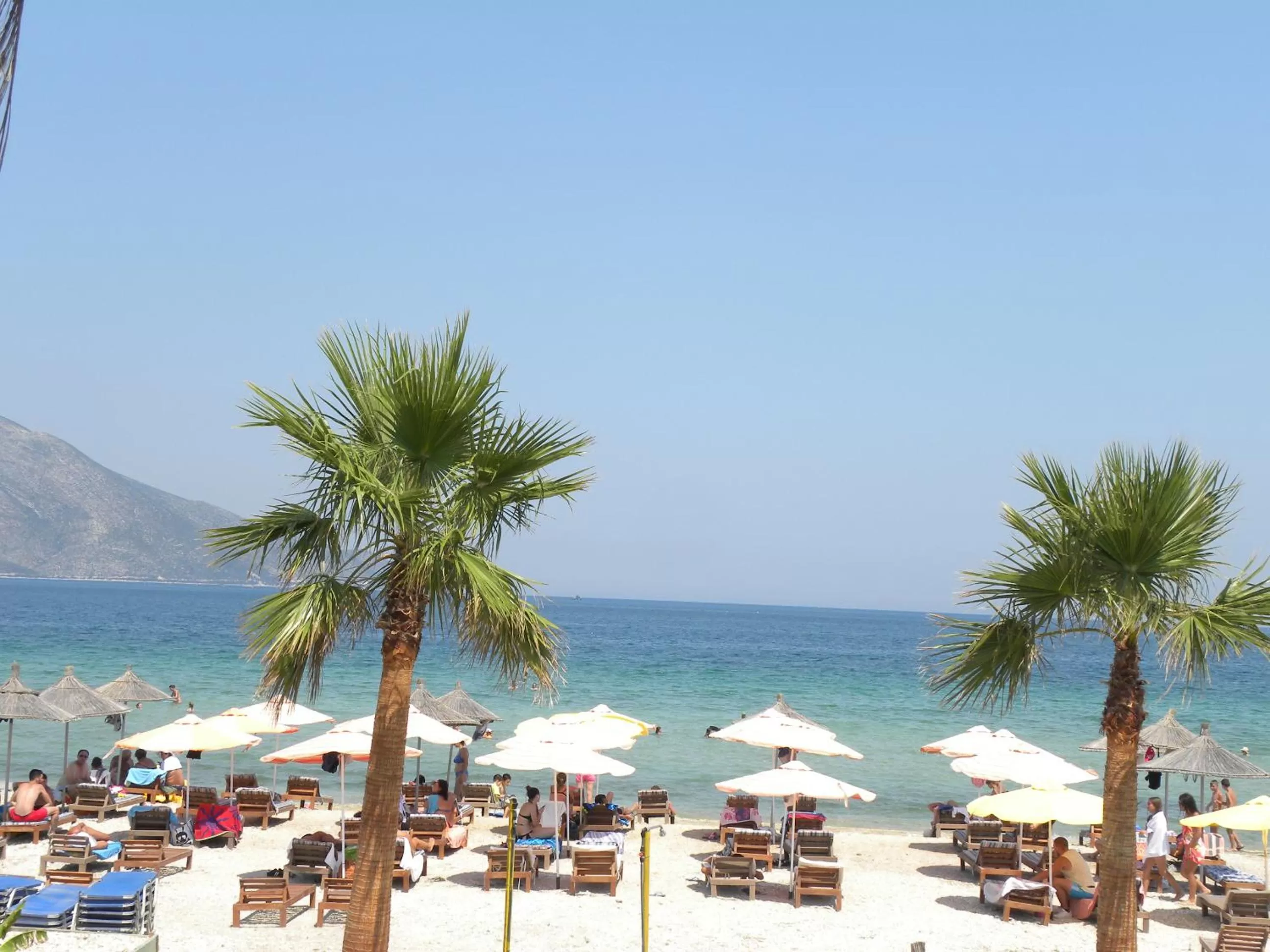 Maxola's Dream Orikum