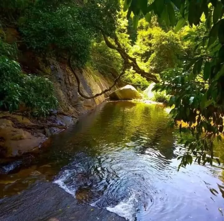 Ella Lucky Panoramic