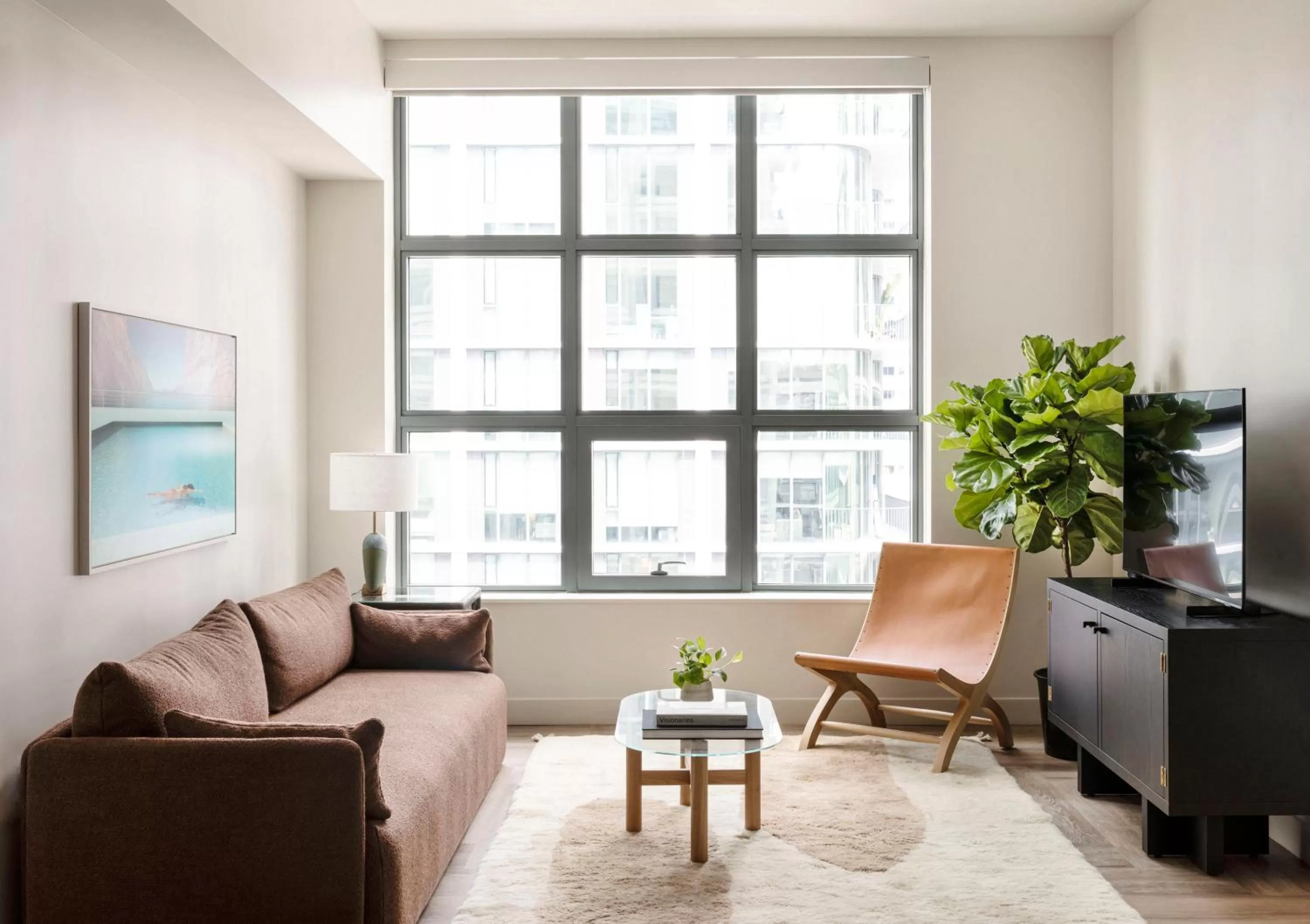 TV and multimedia in ROOST Tampa