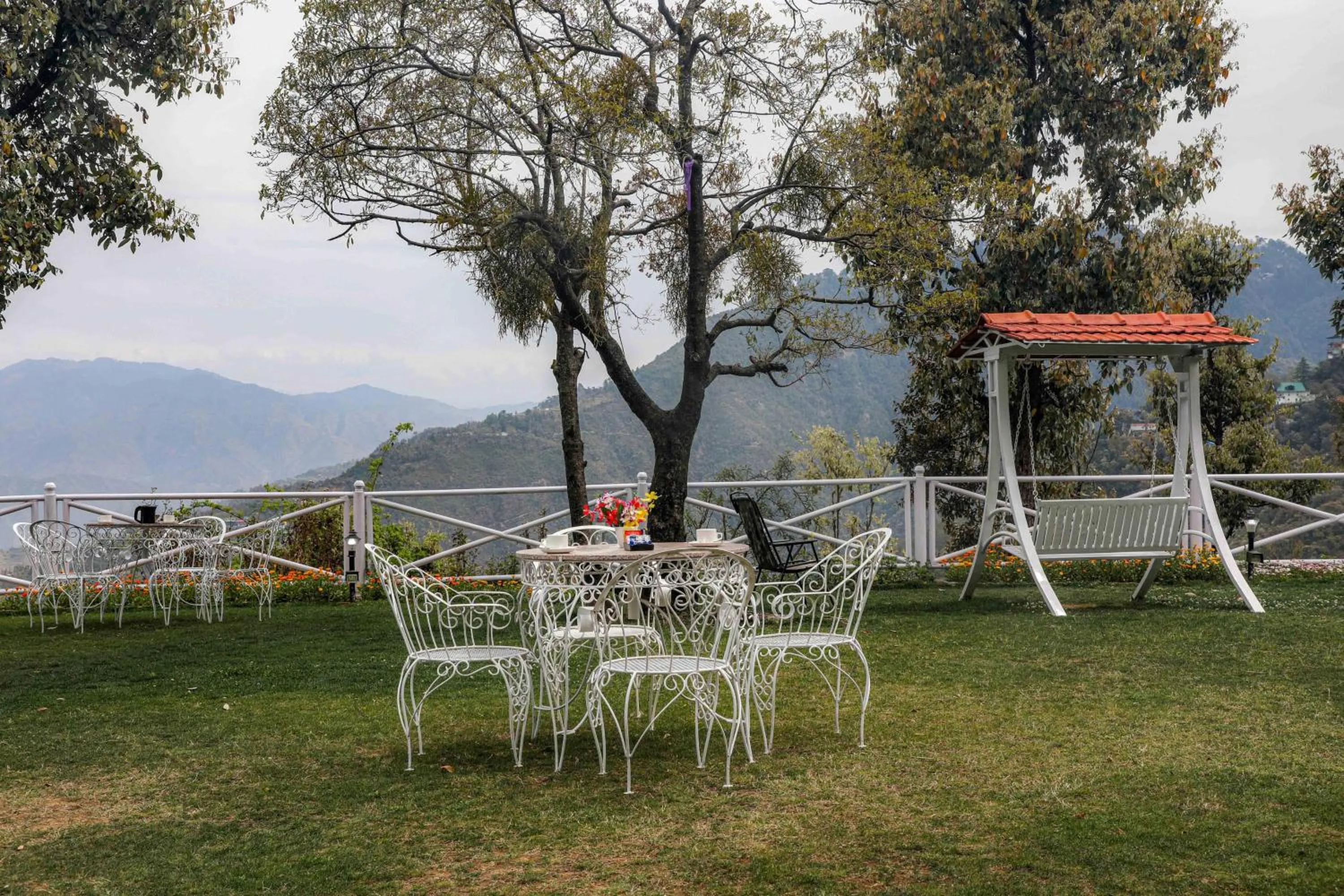 Day in The Mountain Quail