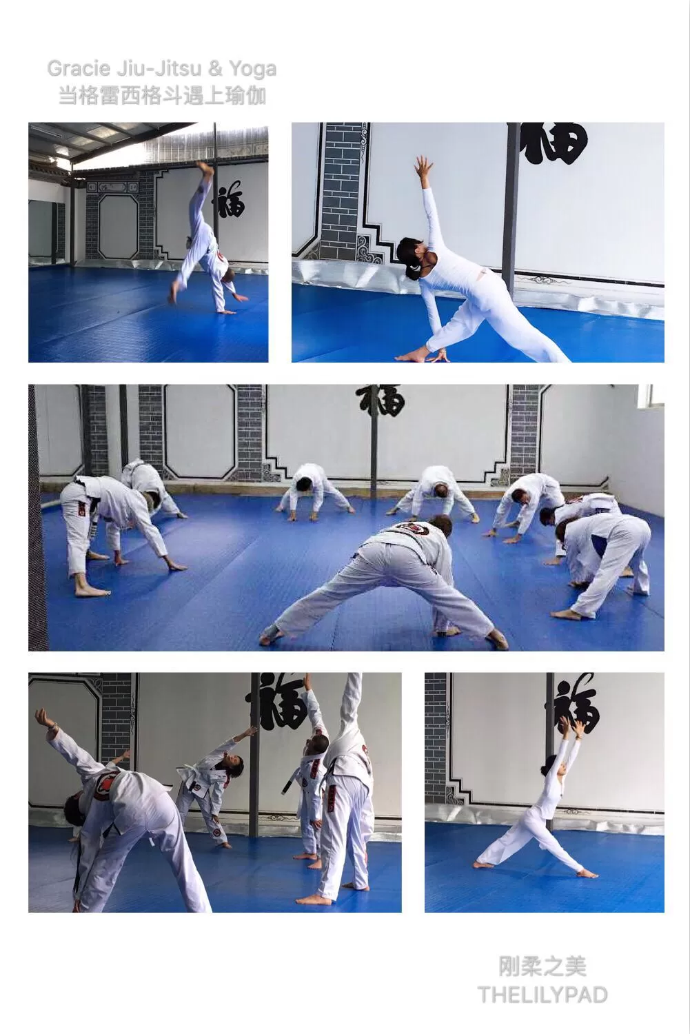 Activities, Swimming Pool in The Lily Pad Inn