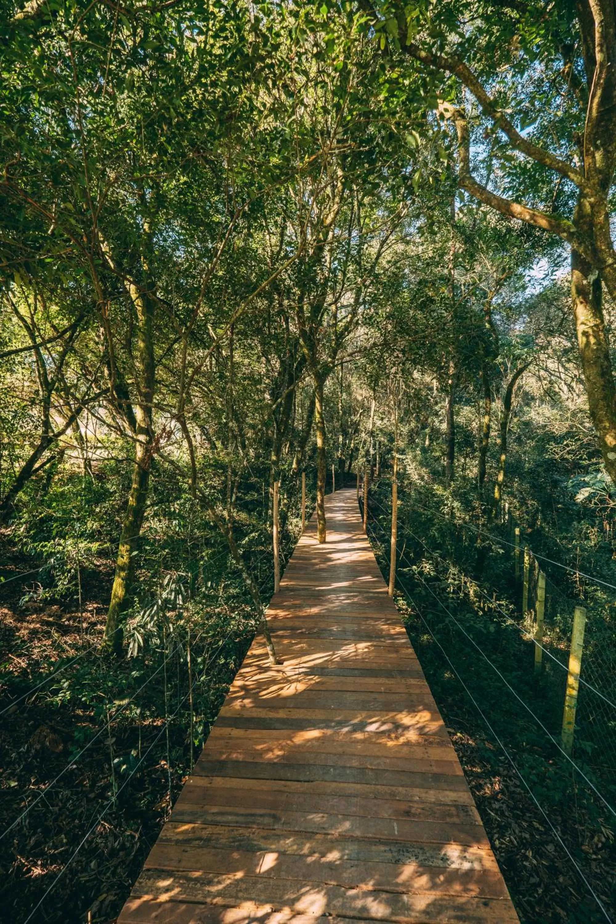 Natural landscape in Pousada Trem Chic