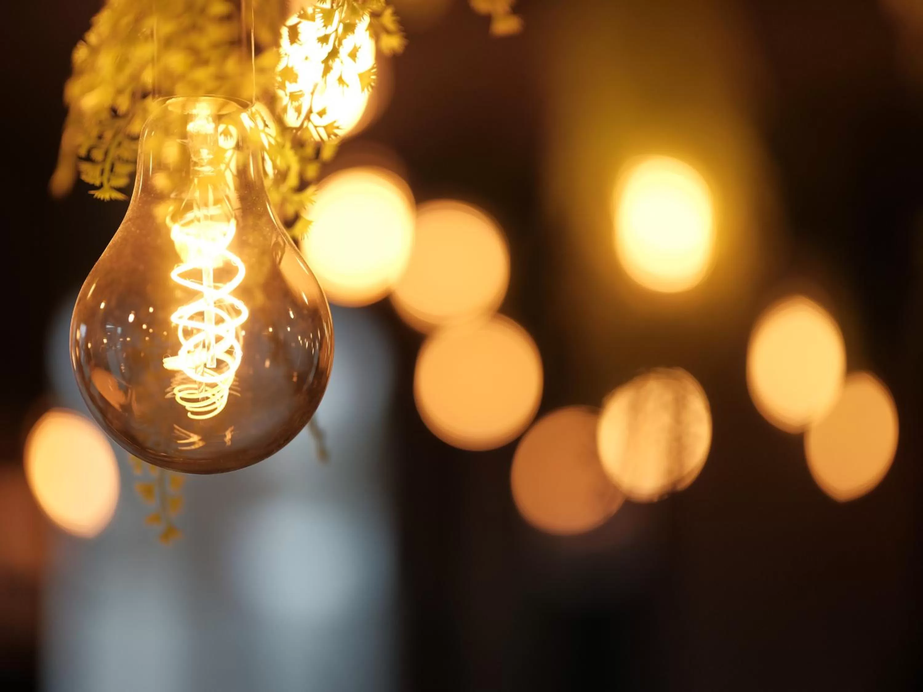 Breakfast in THE ROOMS - Hotel & House