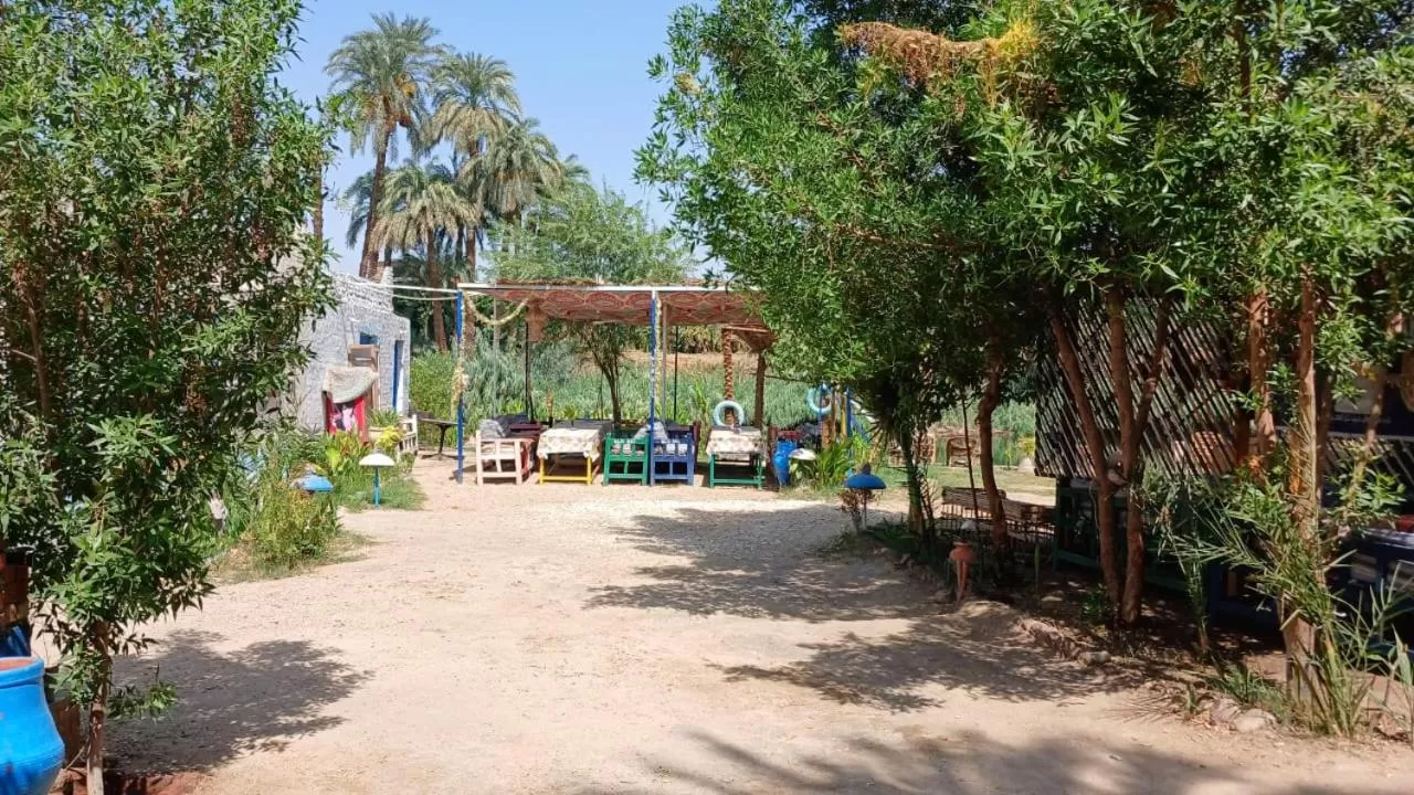 Property Building in Luxor Old Nile Hotel