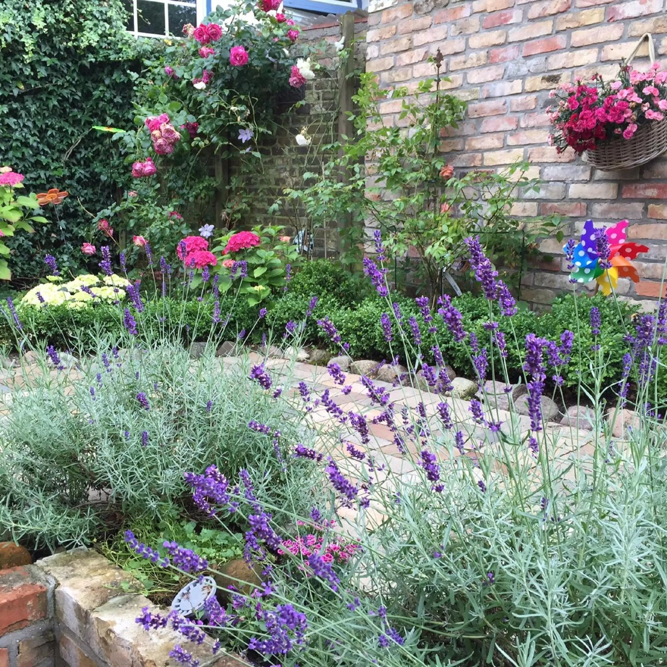 Garden in Designhotel 1690 & Apartments