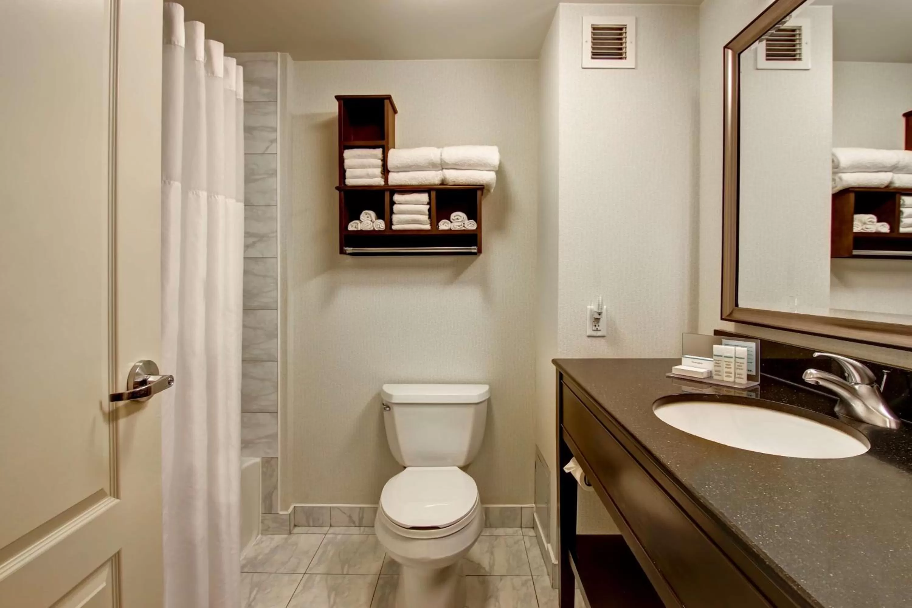 Bathroom in Hampton Inn by Hilton Toronto Airport Corporate Centre