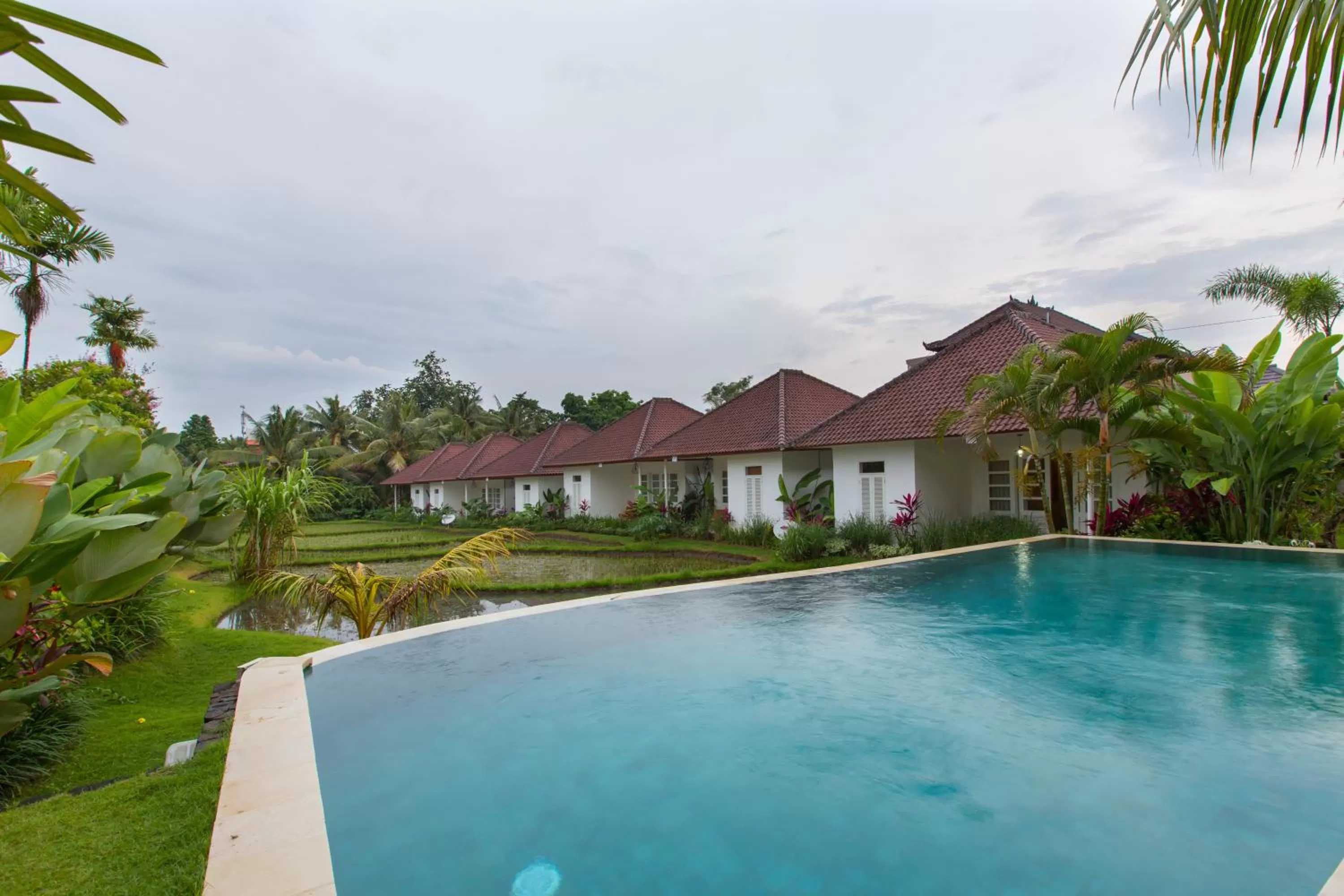 Swimming pool in Abipraya Ubud