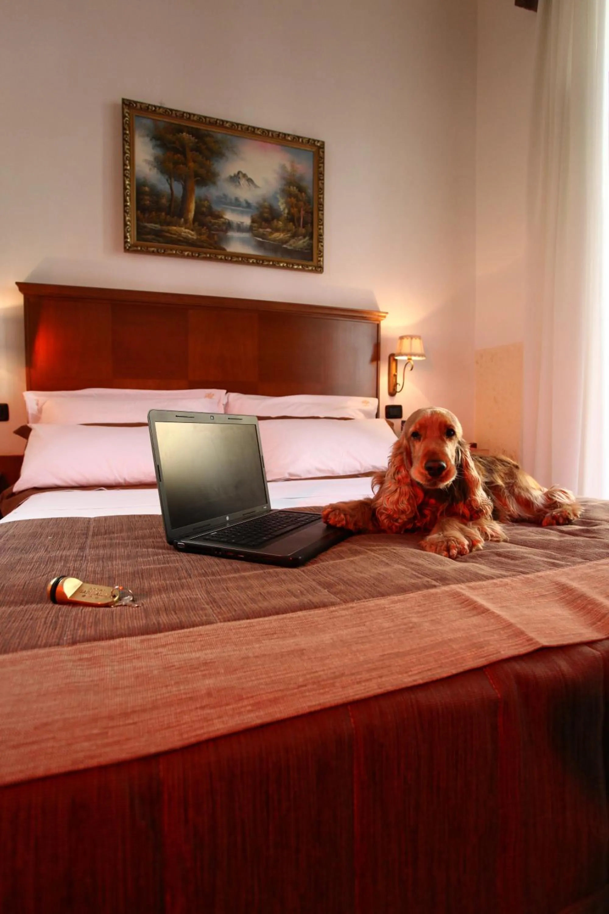 Animals, TV/Entertainment Center in Hotel Garibaldi