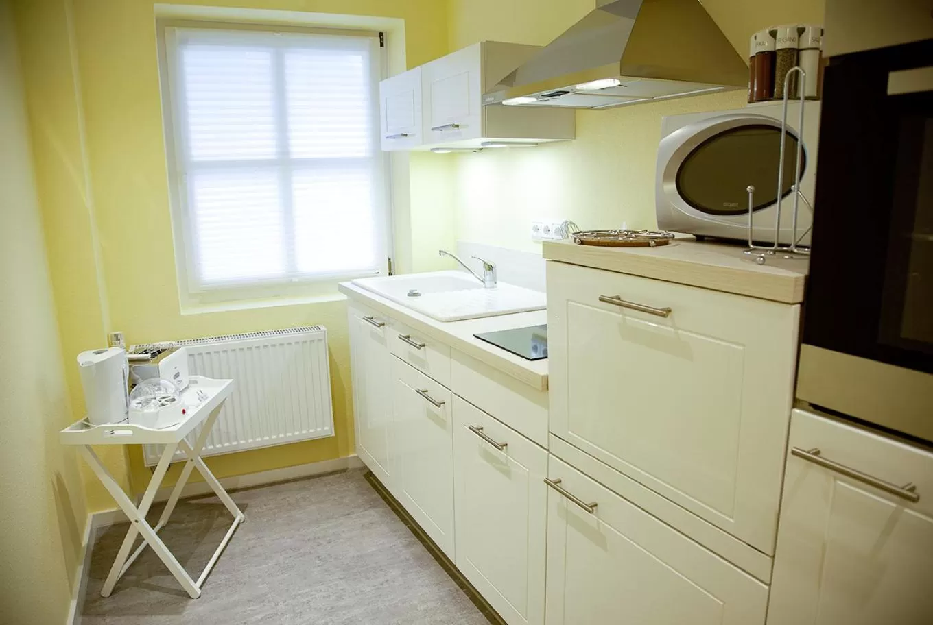 Kitchen or kitchenette in Arthotel ANA Fleur