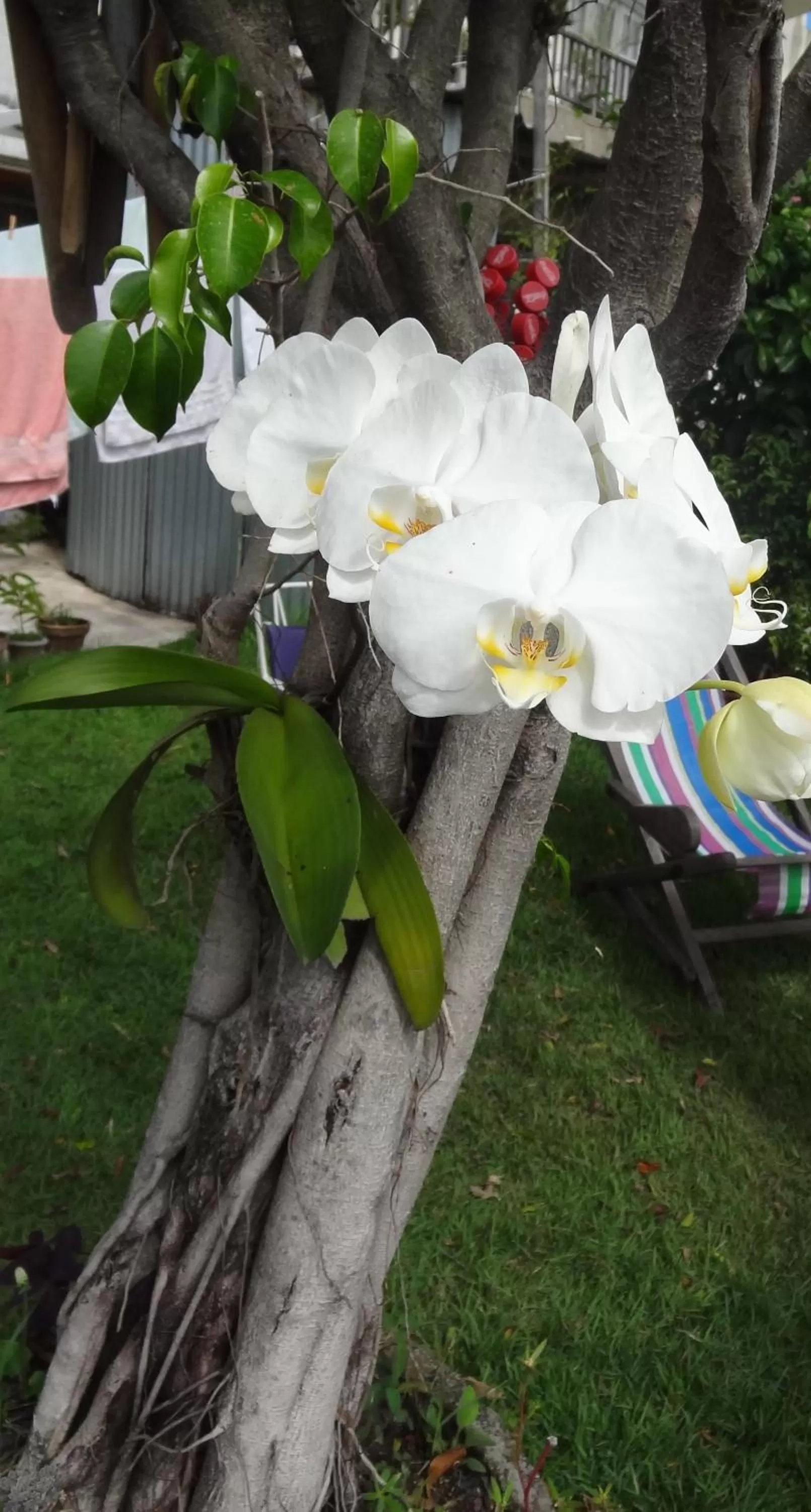 Other in Casa da Gente