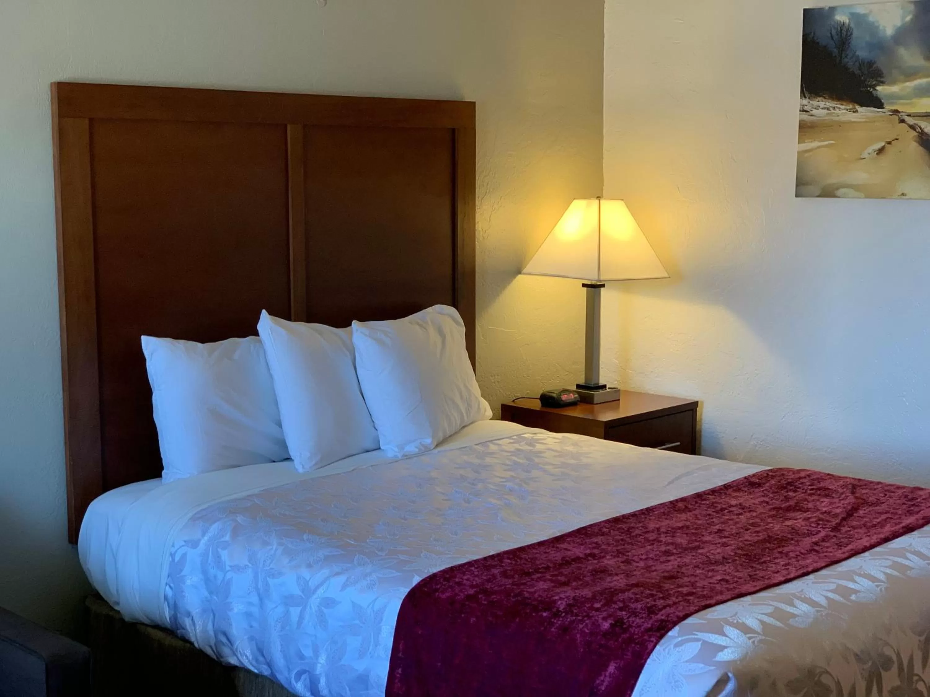 Bed in Red Carpet Inn Medford