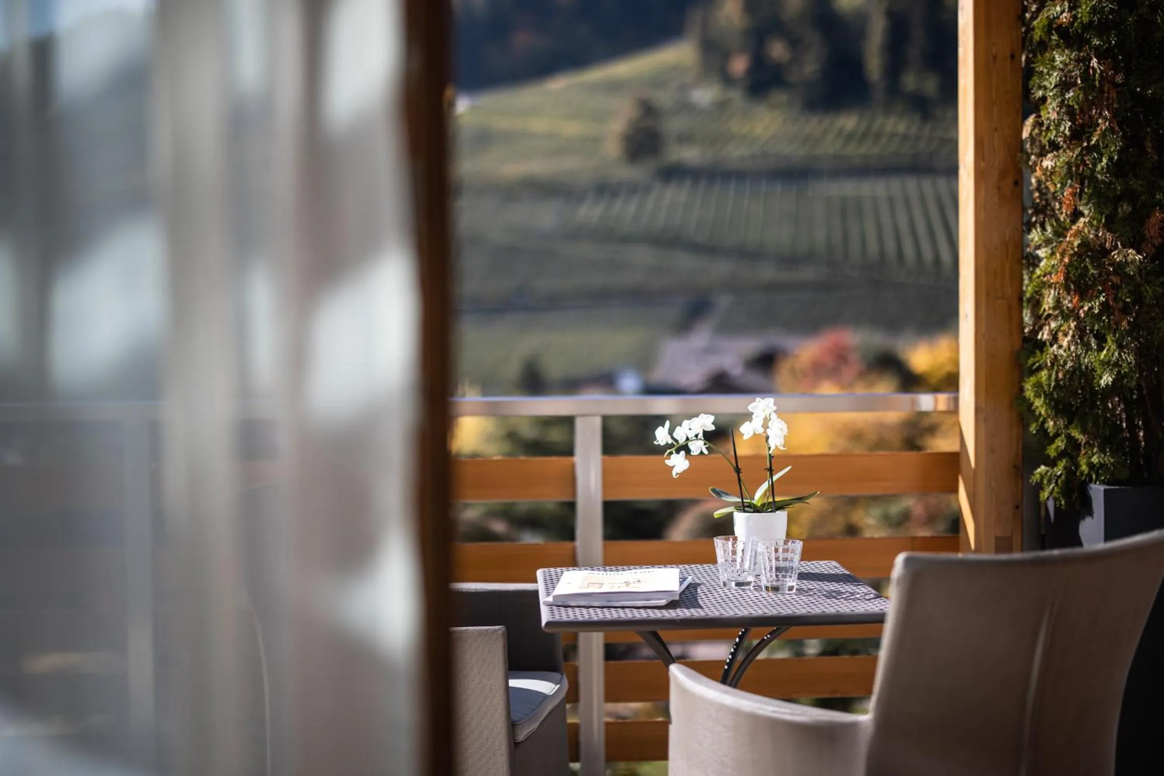 Balcony/Terrace in ALPIANA - green luxury Dolce Vita Hotel