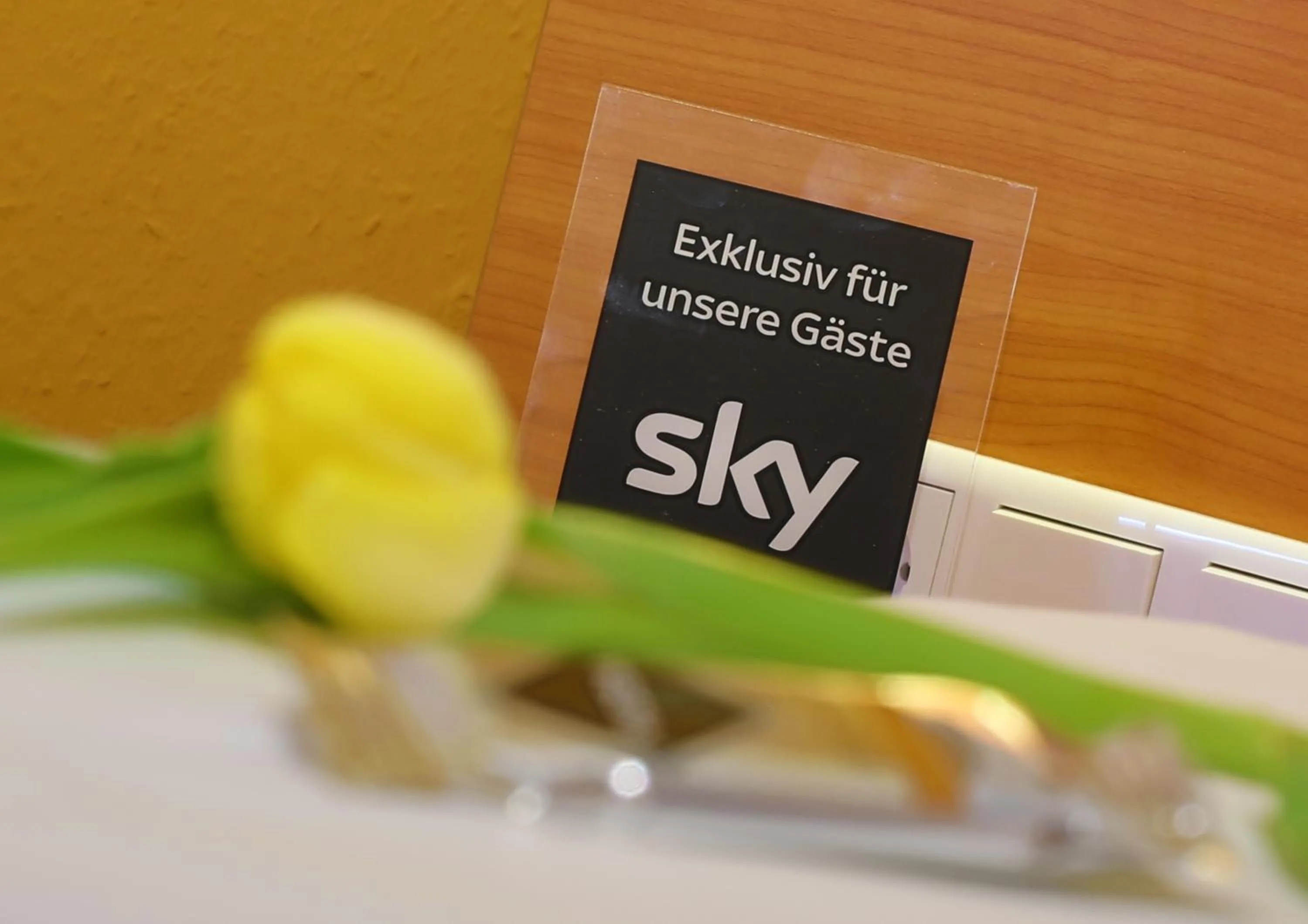 Decorative detail in TIPTOP Hotel Burgschmiet Garni