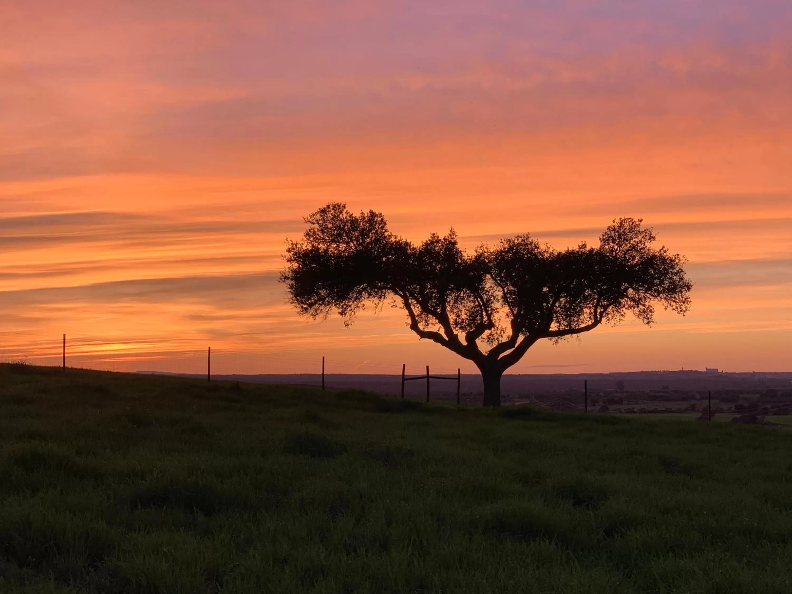 Natural landscape in Montimerso Skyscape Countryhouse