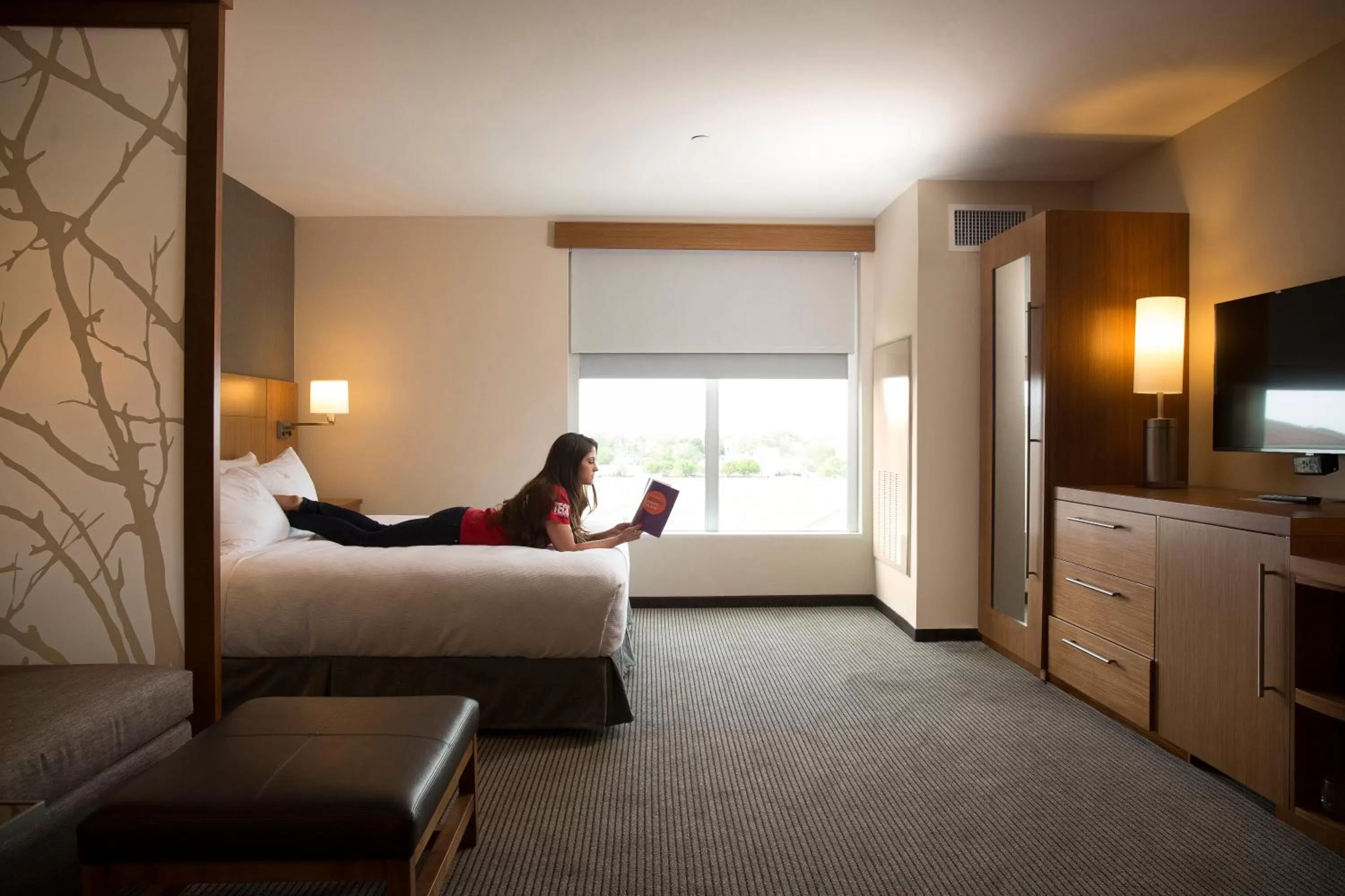 King Room with Sofa Bed - High Floor in Hyatt Place Lubbock