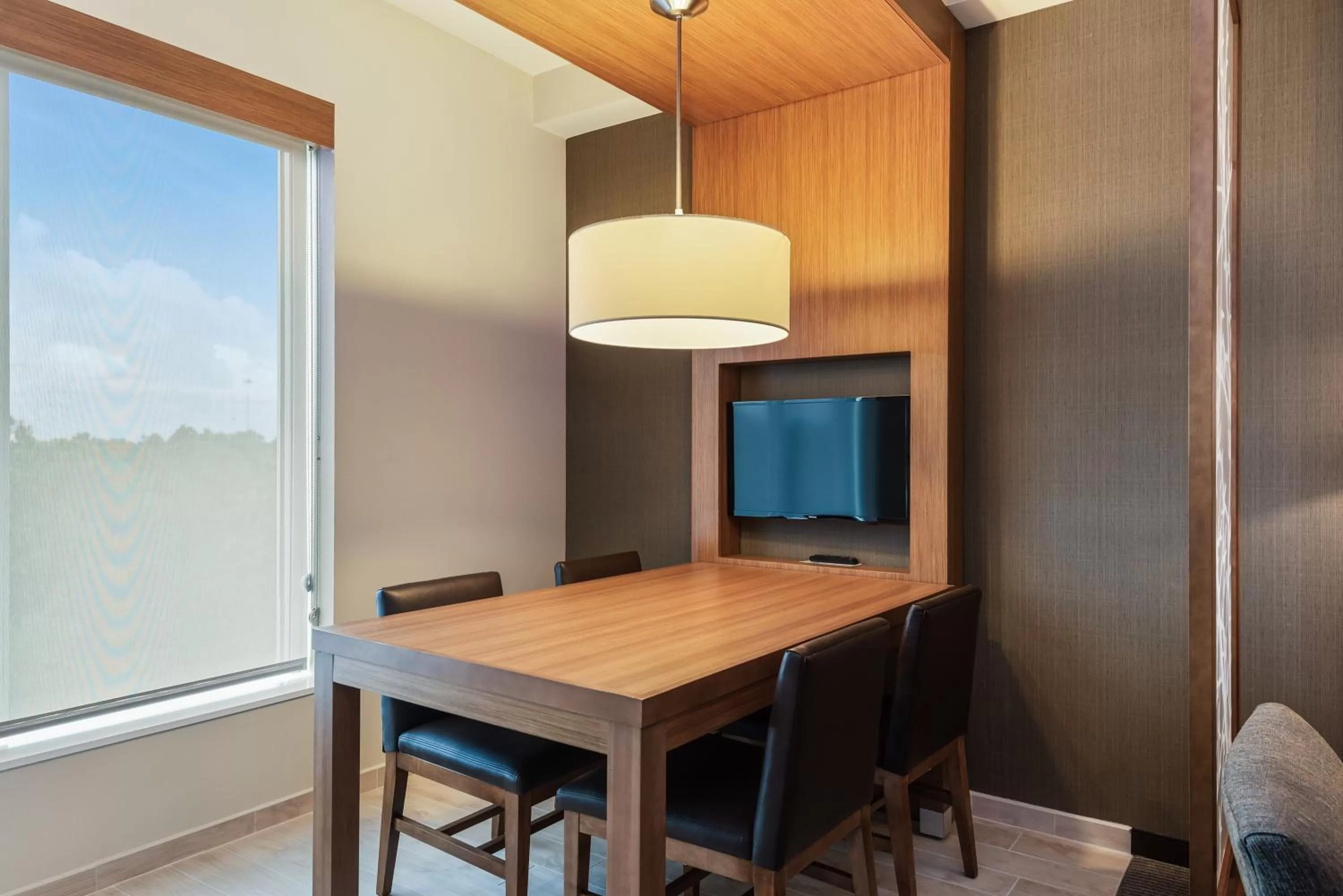 TV and multimedia in Hyatt Place Tampa/Wesley Chapel