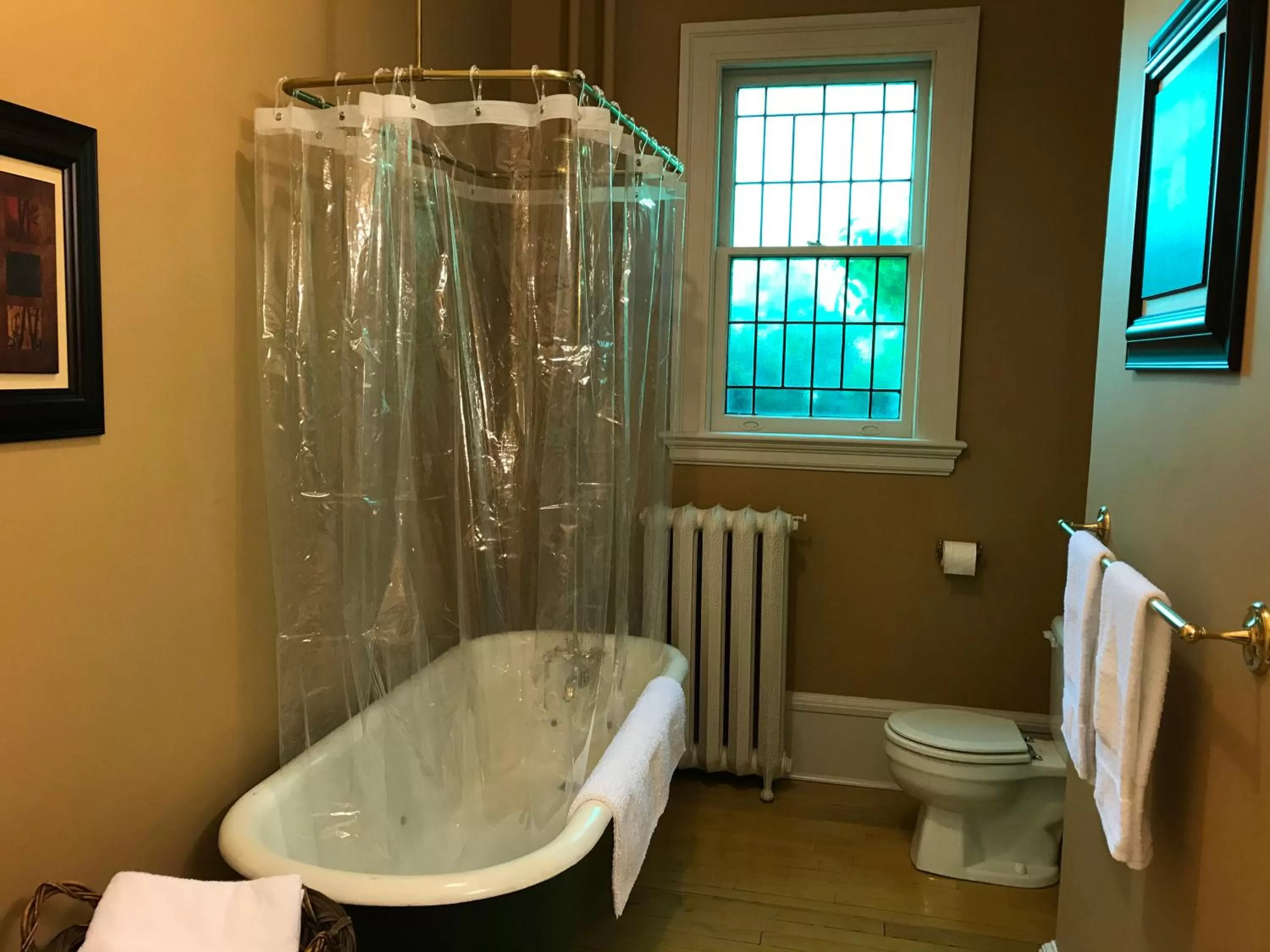 Shower, Bathroom in Stirling House