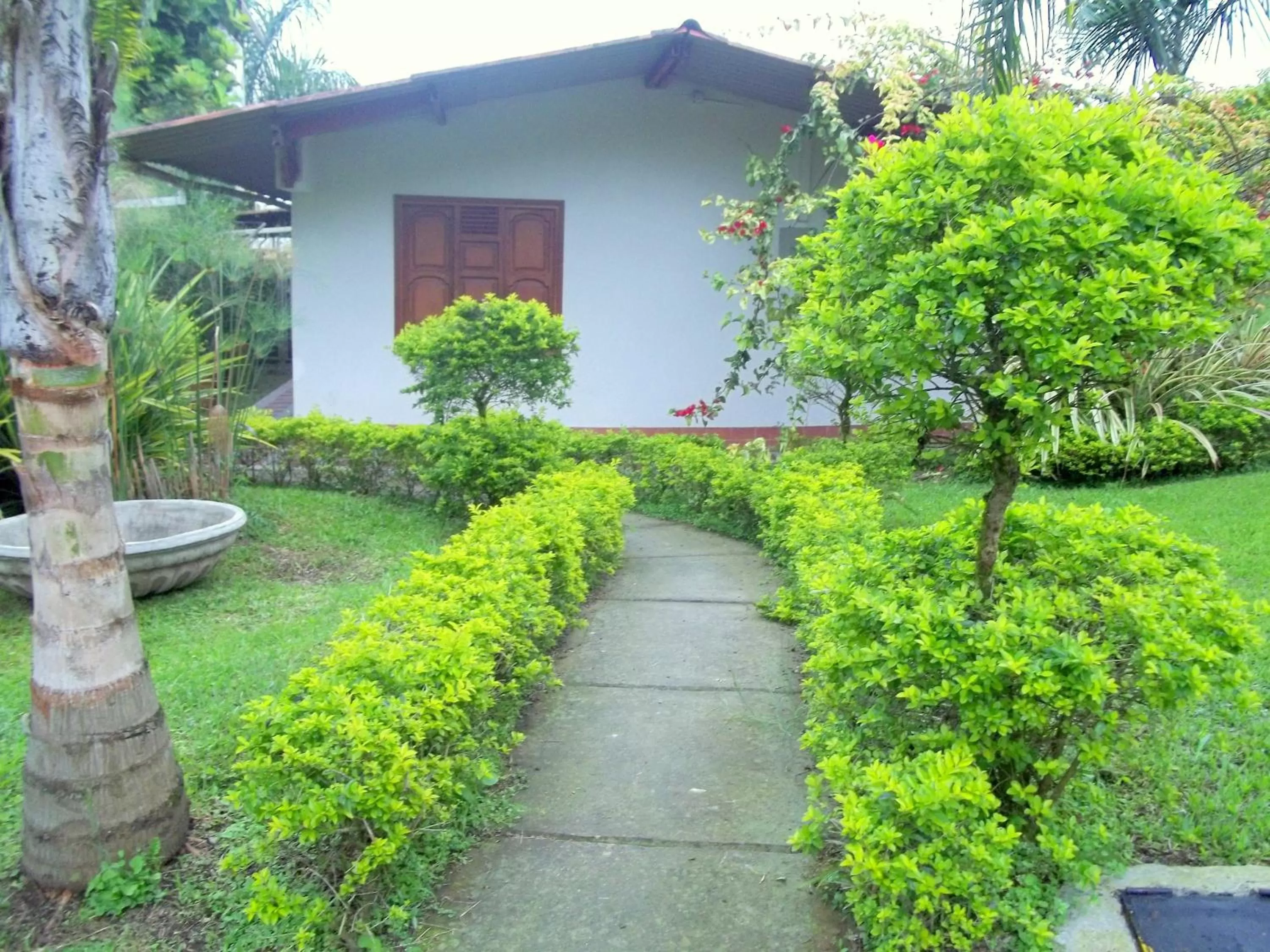 Cabañas Las Bifloras