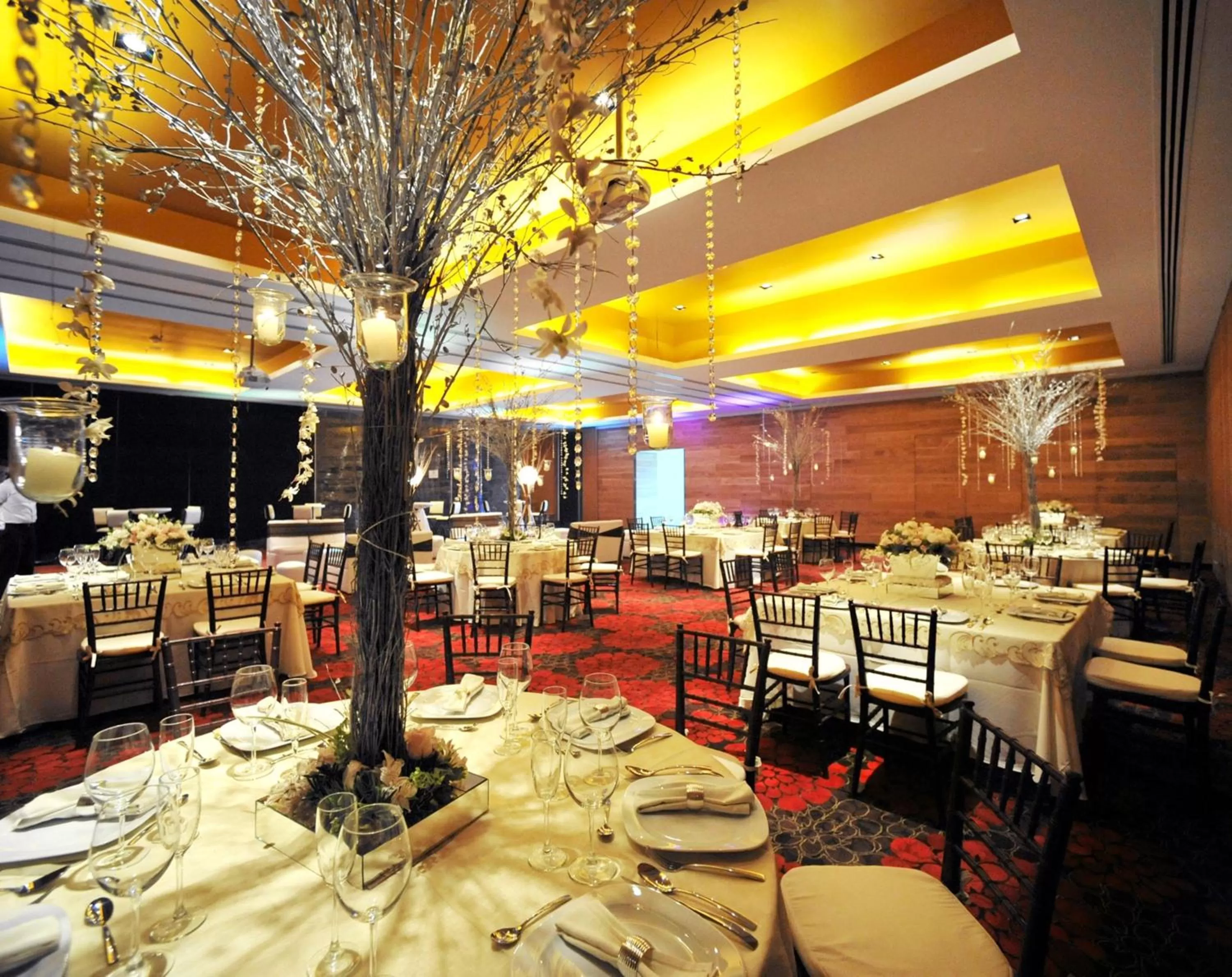 Banquet/Function facilities in Emporio Veracruz